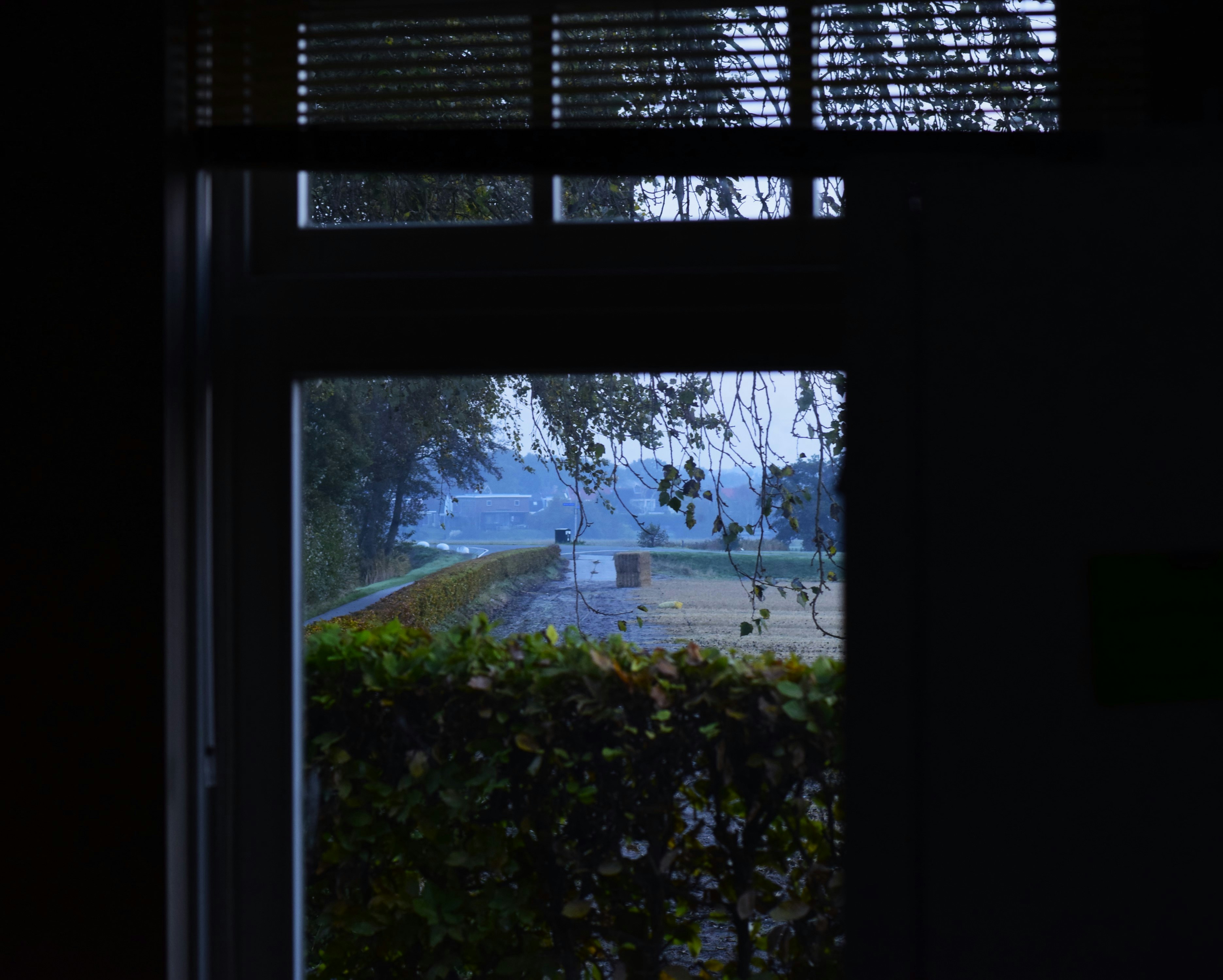 Photo by janakovacikova