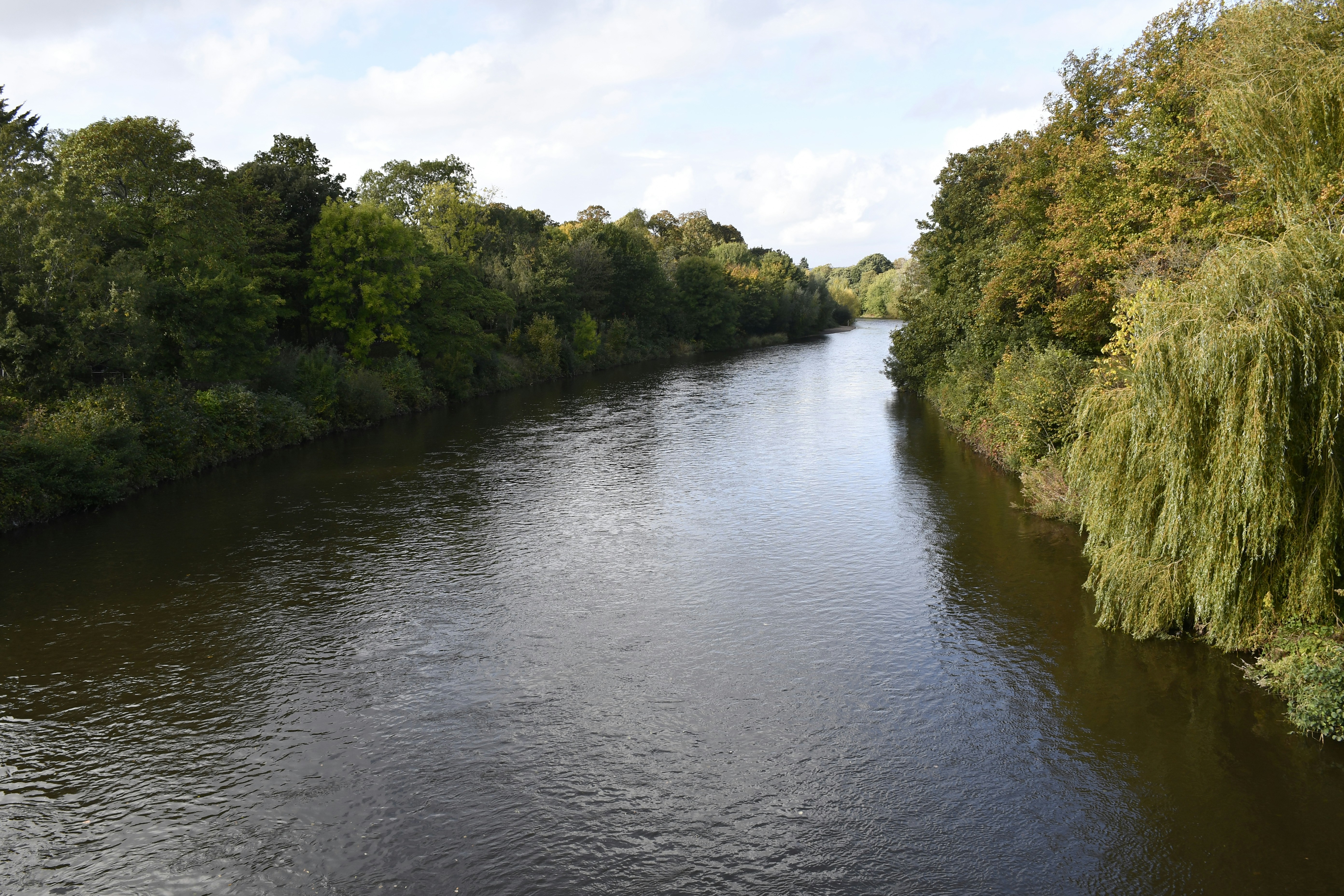 Photo by wrishi2004m