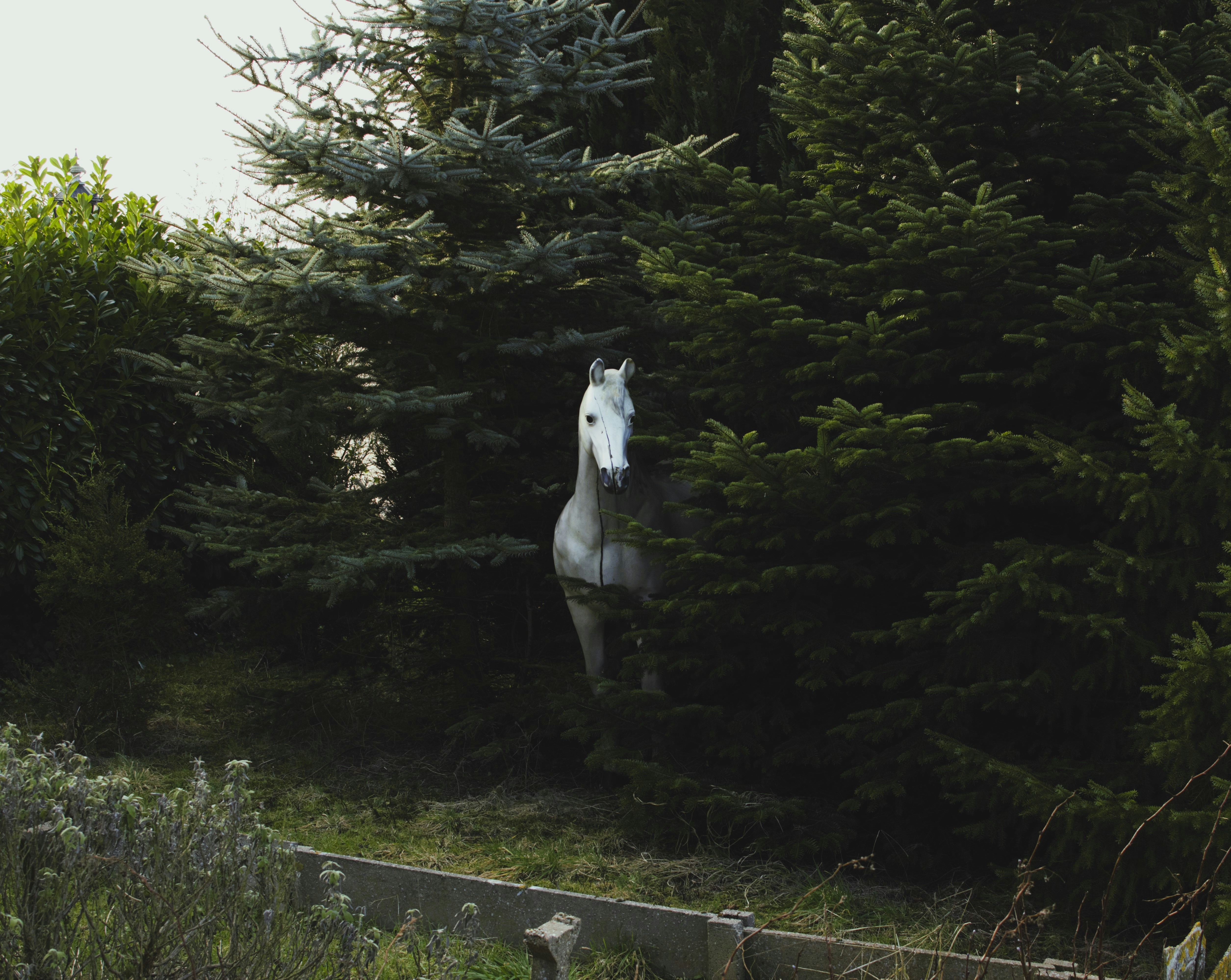 White Statue in a Forest