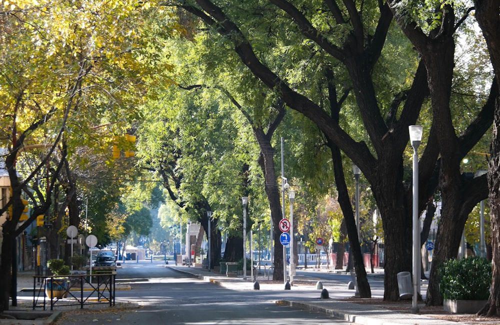 a street with trees on the side with Cours Mirabeau in the background