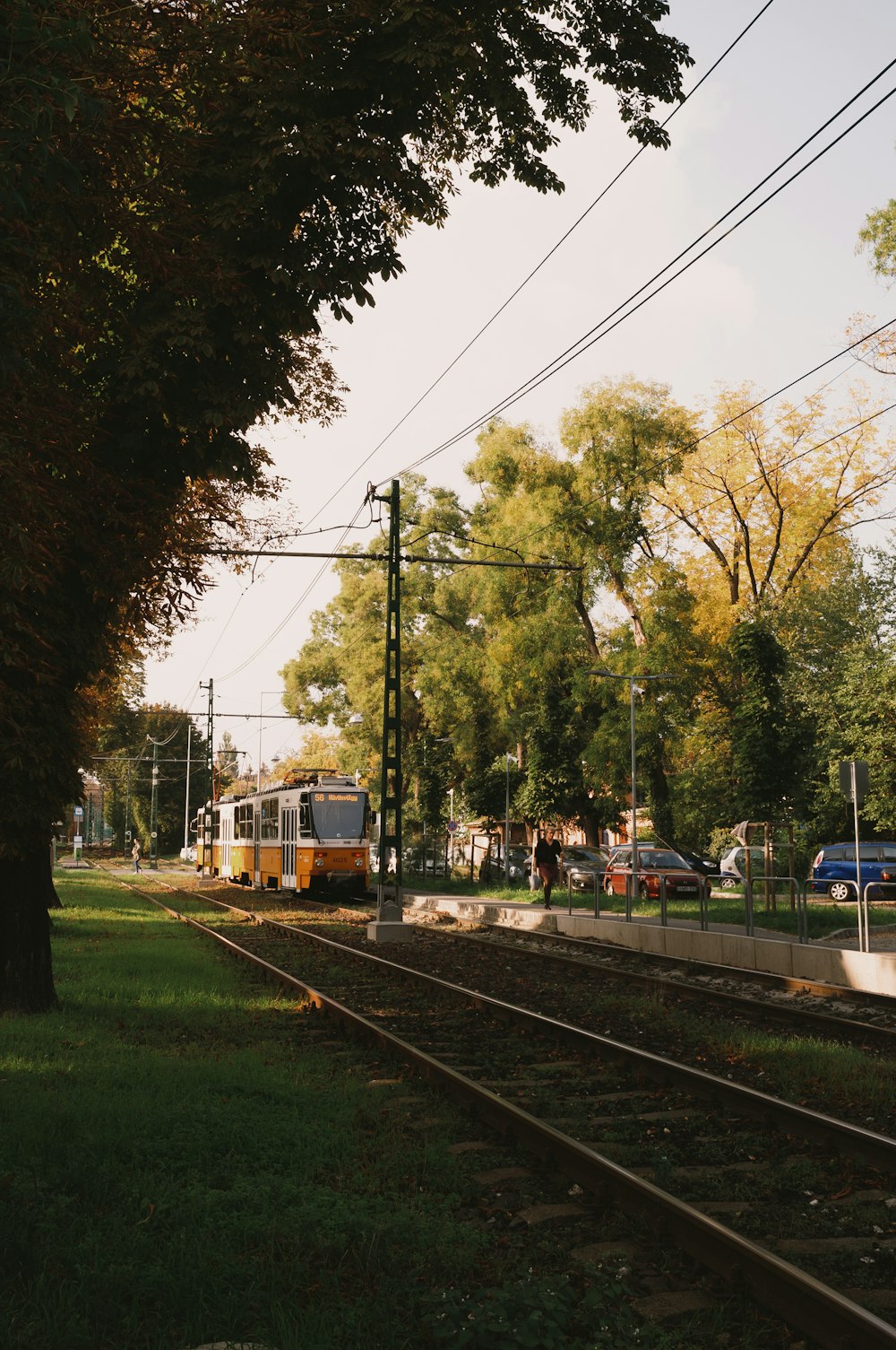 a train on the railway tracks