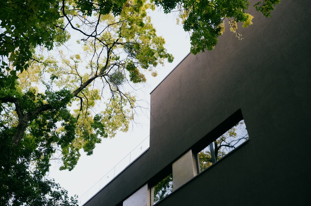 a building with trees in the back