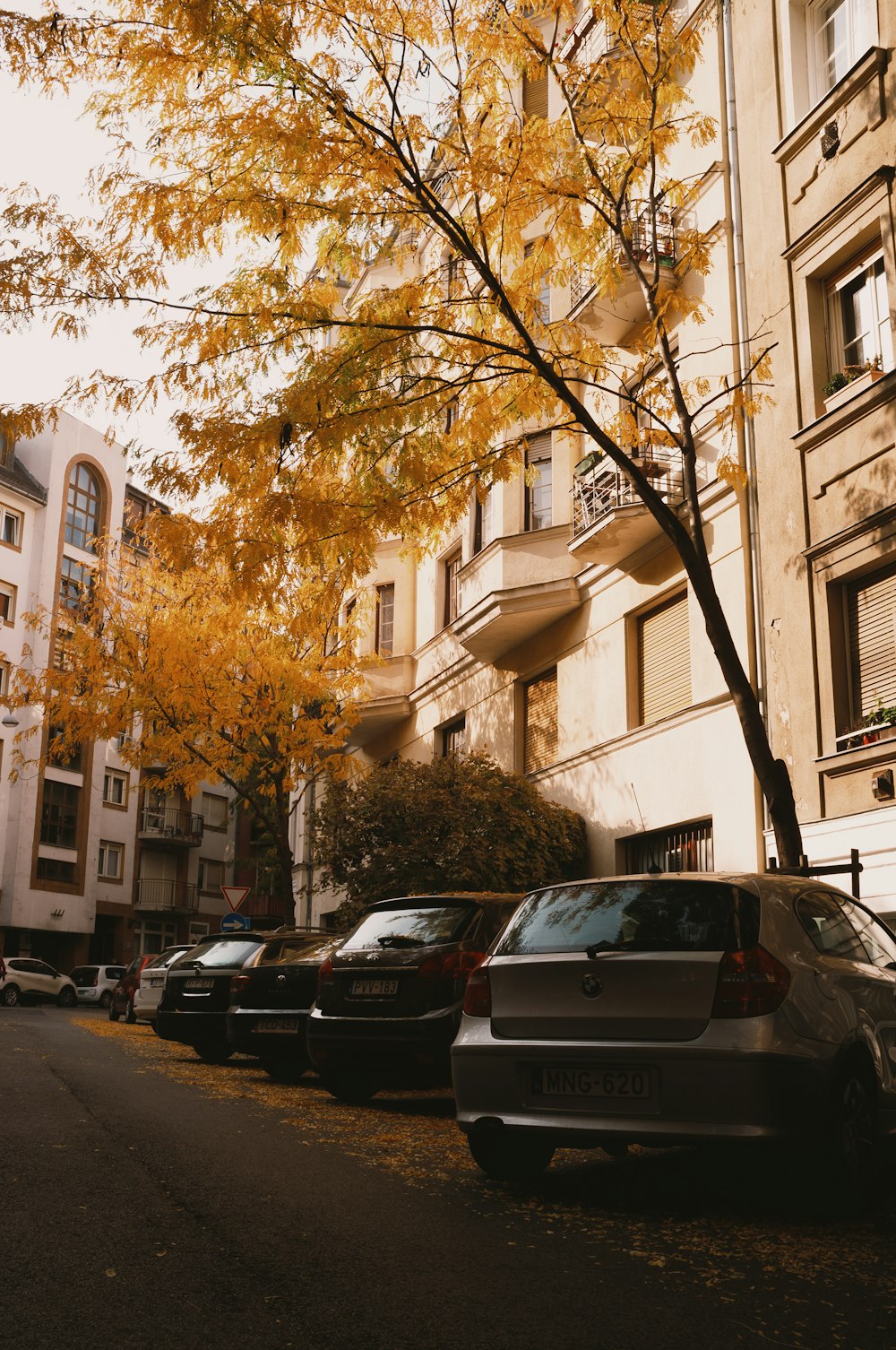 una strada con auto parcheggiate su di essa