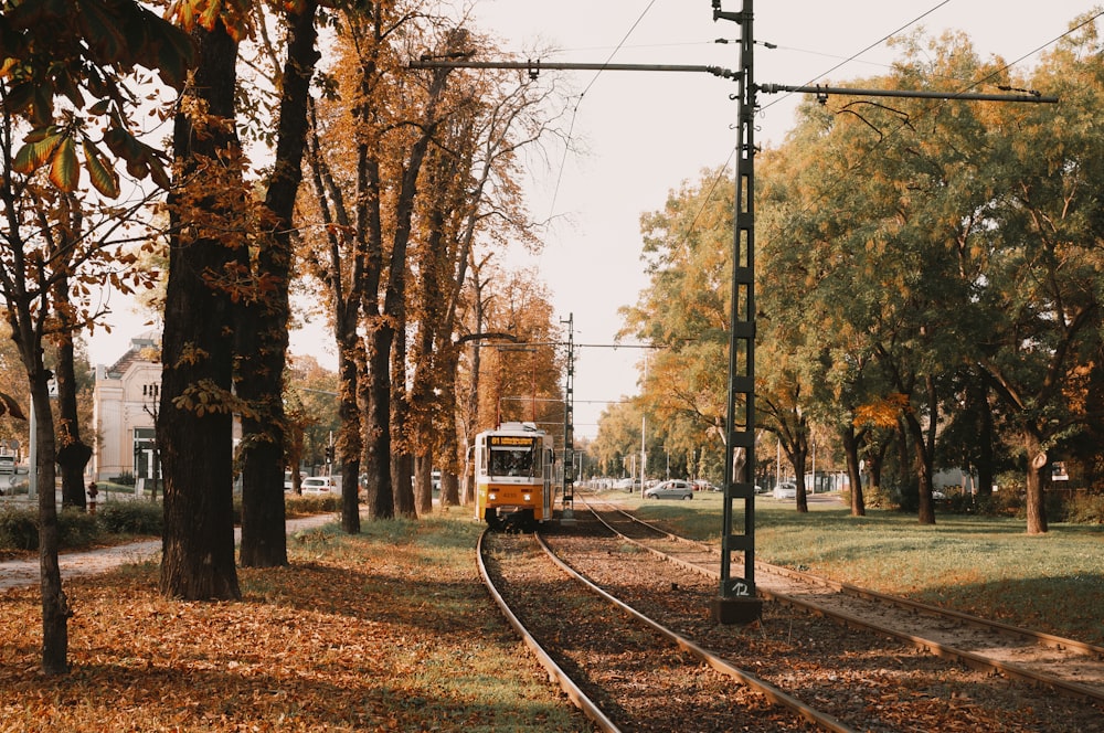 a train on the railway tracks