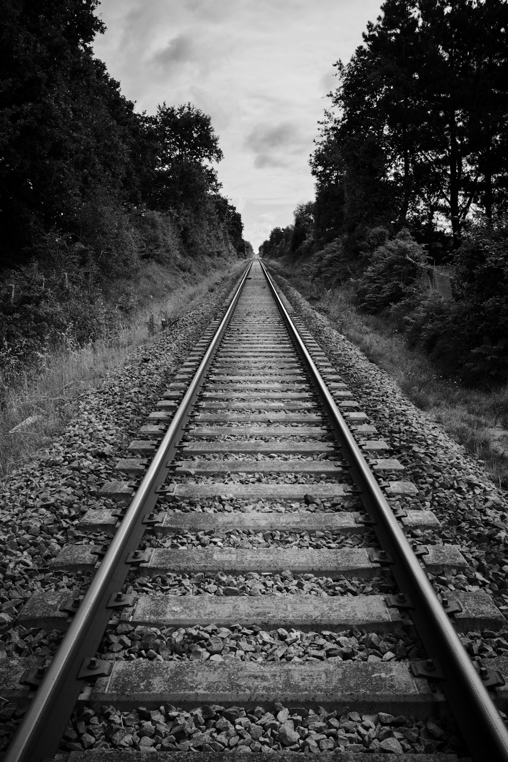 a railroad track with trees on either side of it