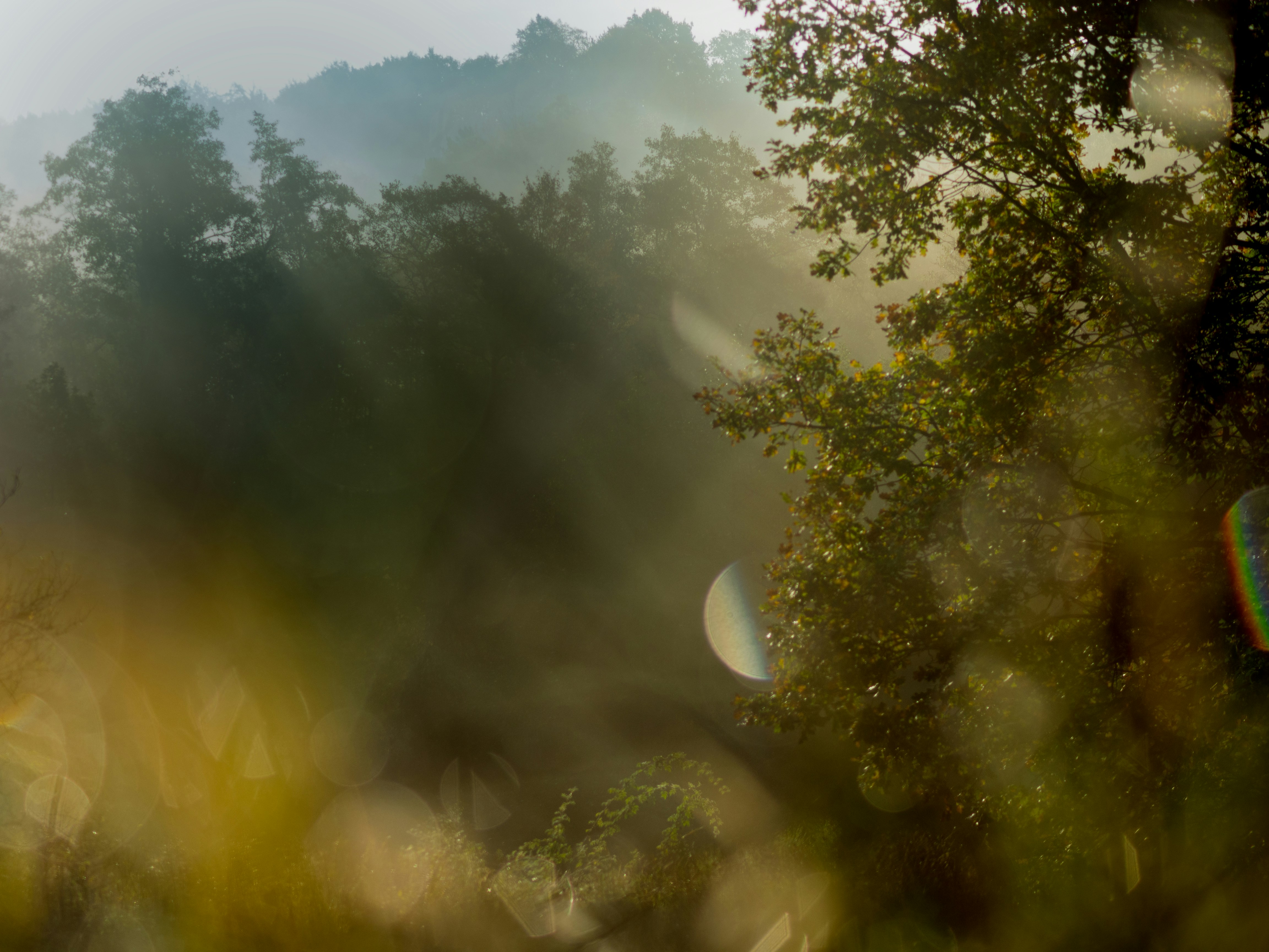 Photo by profilermanes