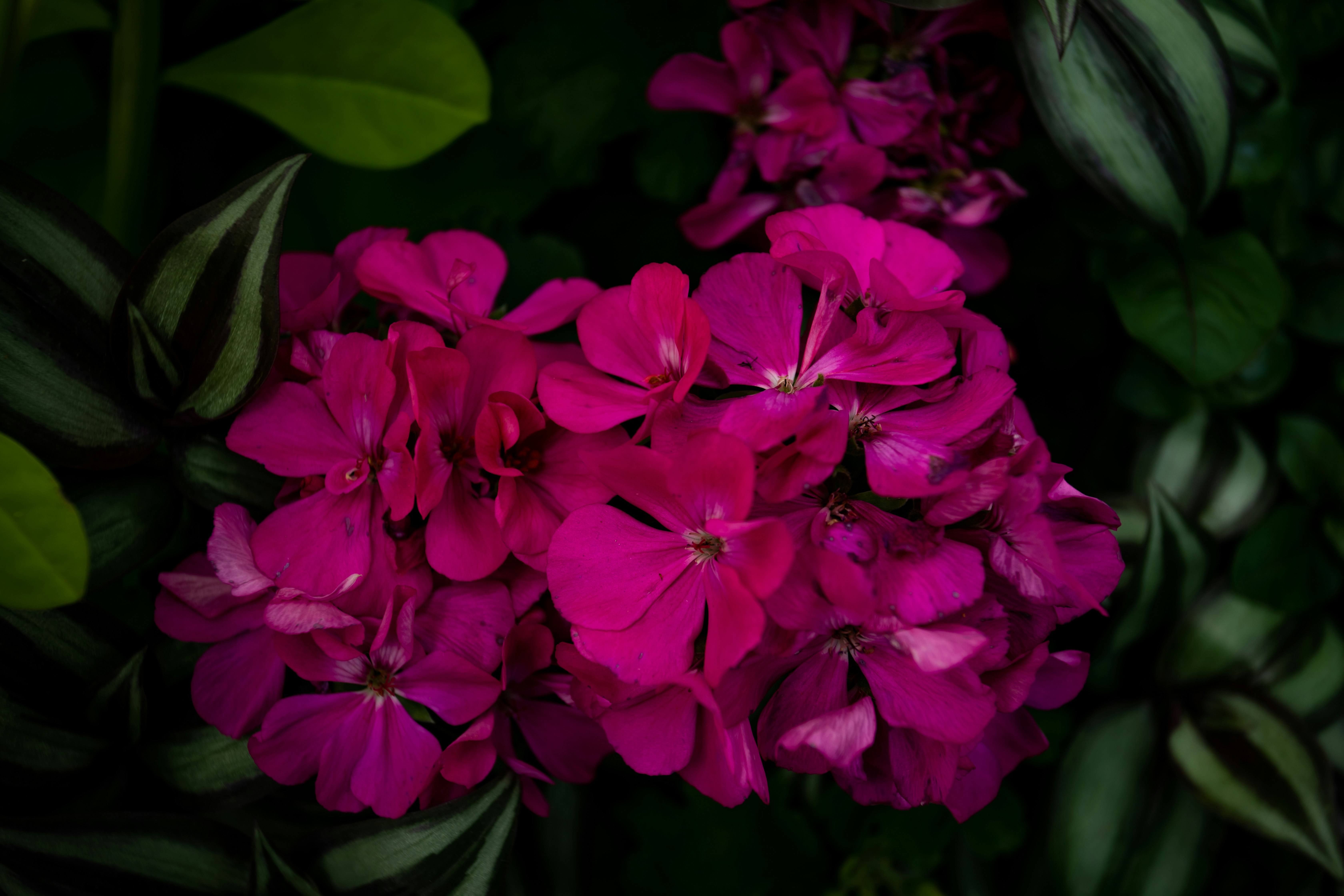 Photo by photosoflogan