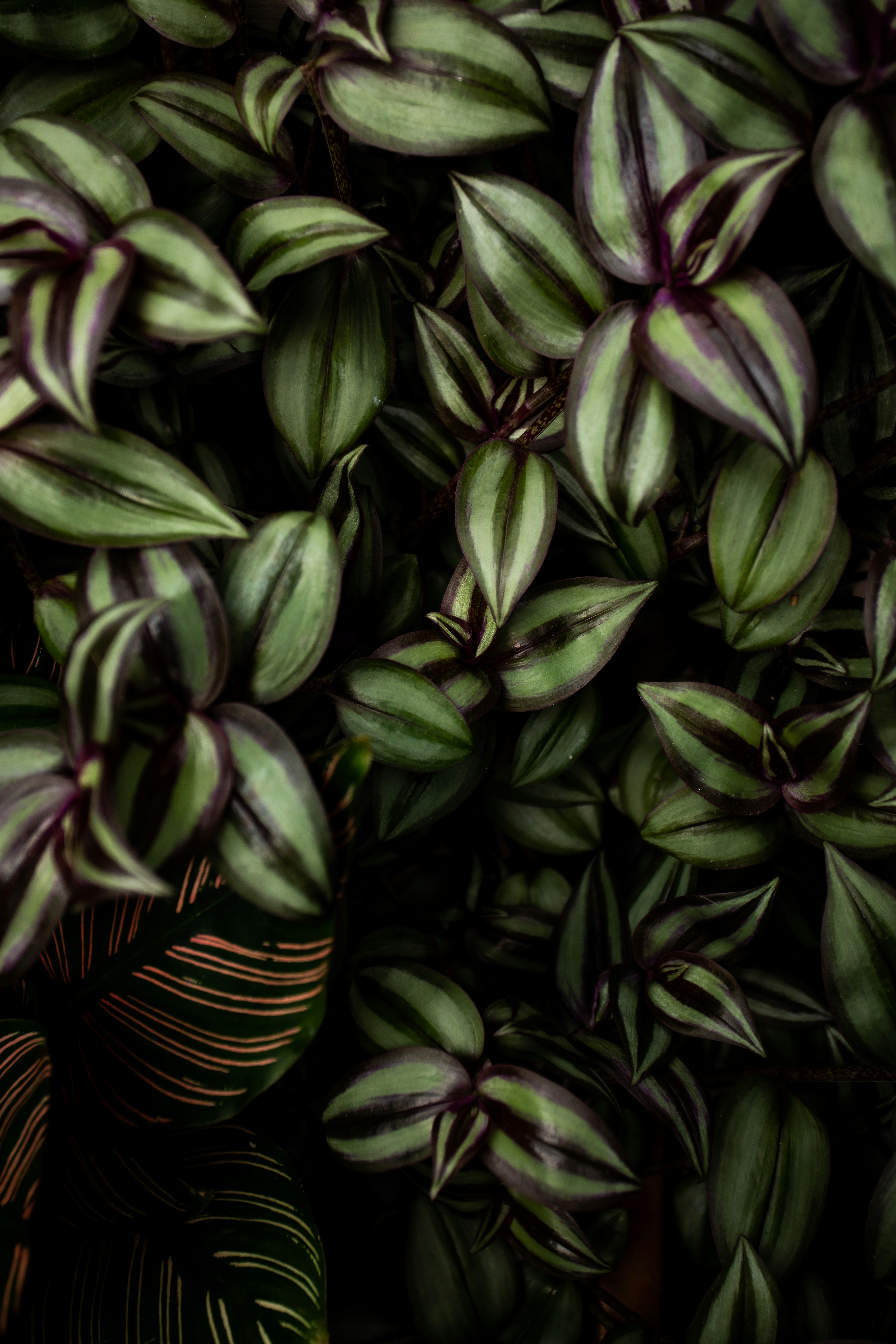 Photo by photosoflogan