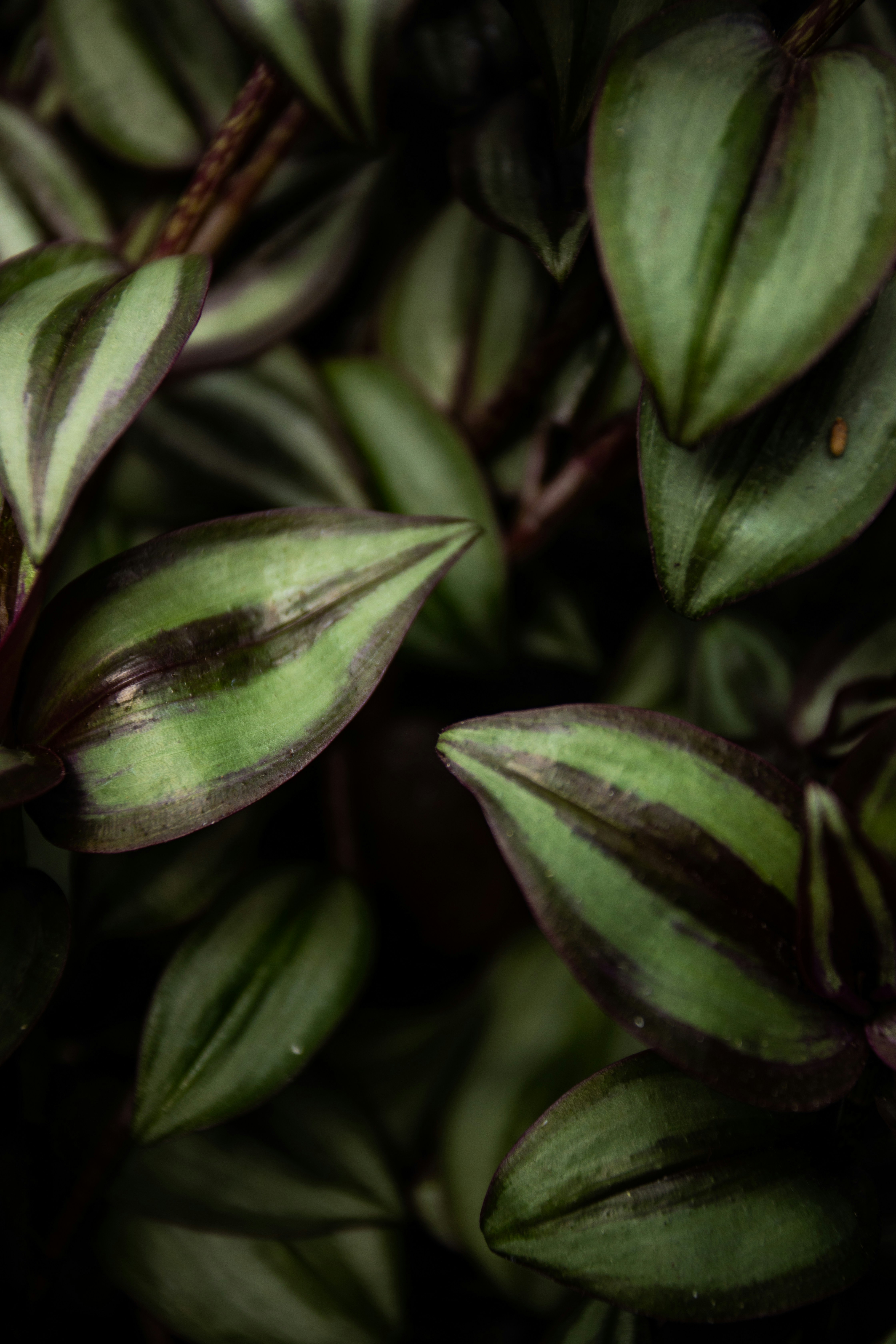 Photo by photosoflogan