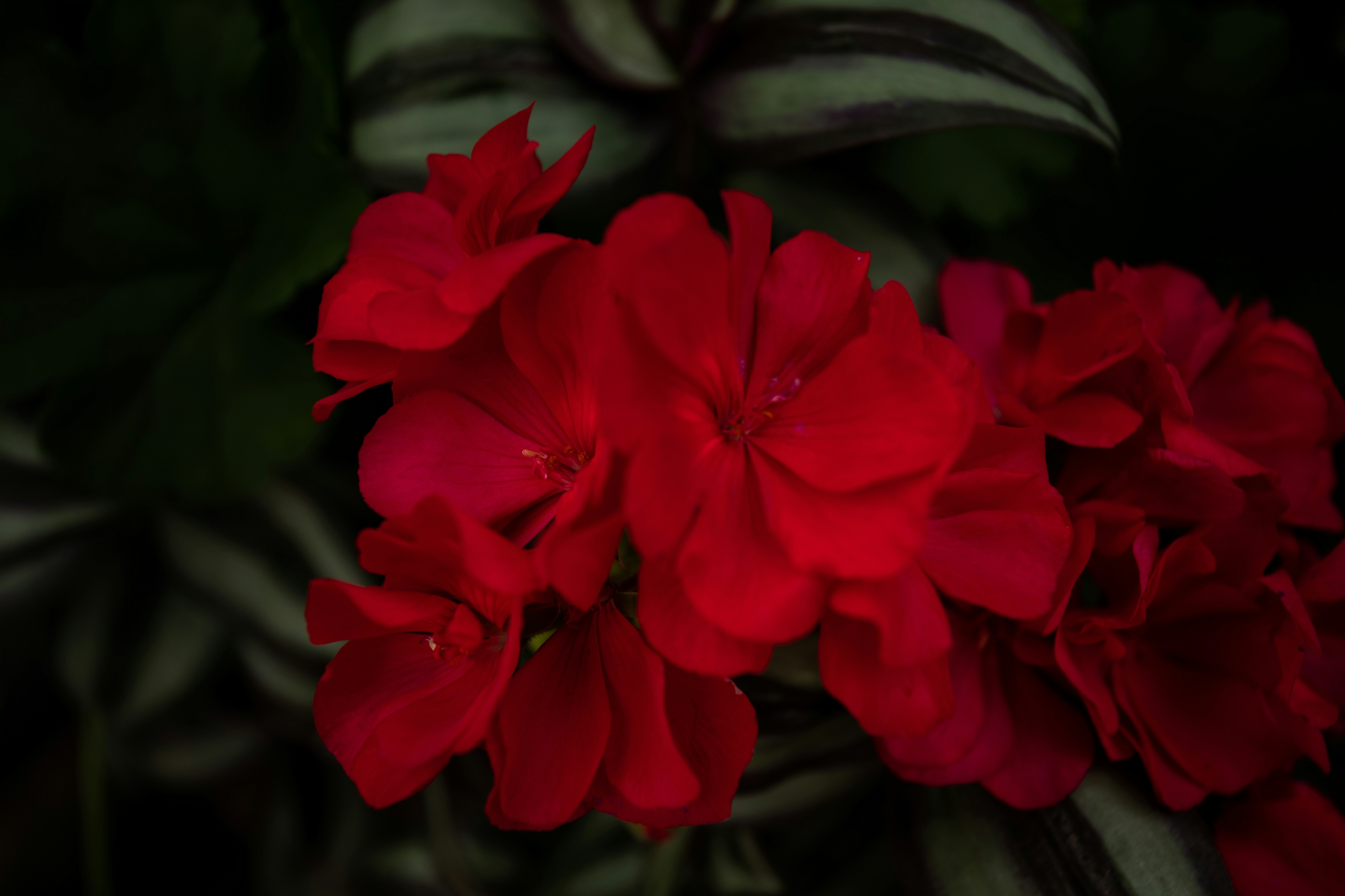 Photo by photosoflogan