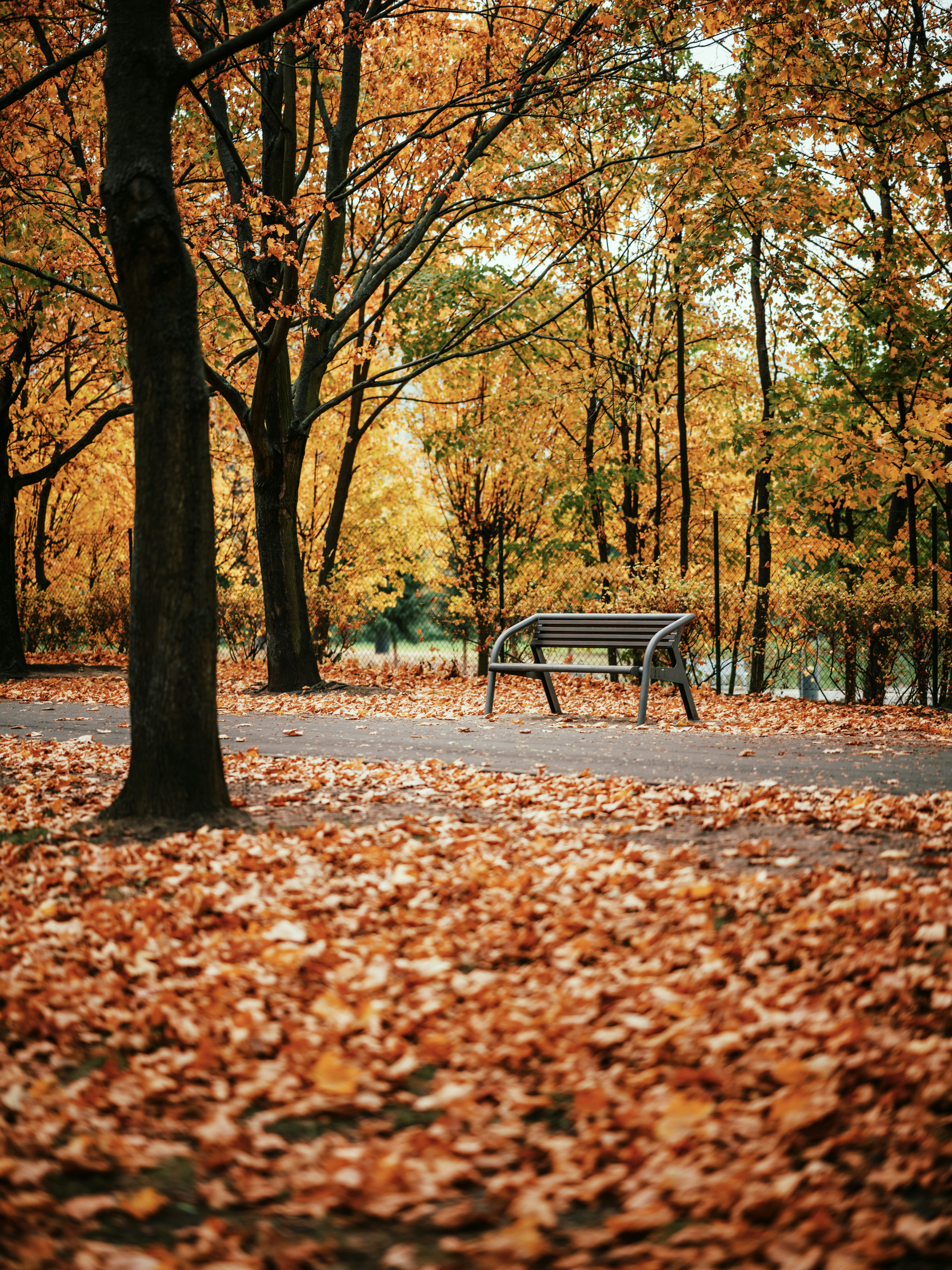 Photo by egorkomarov