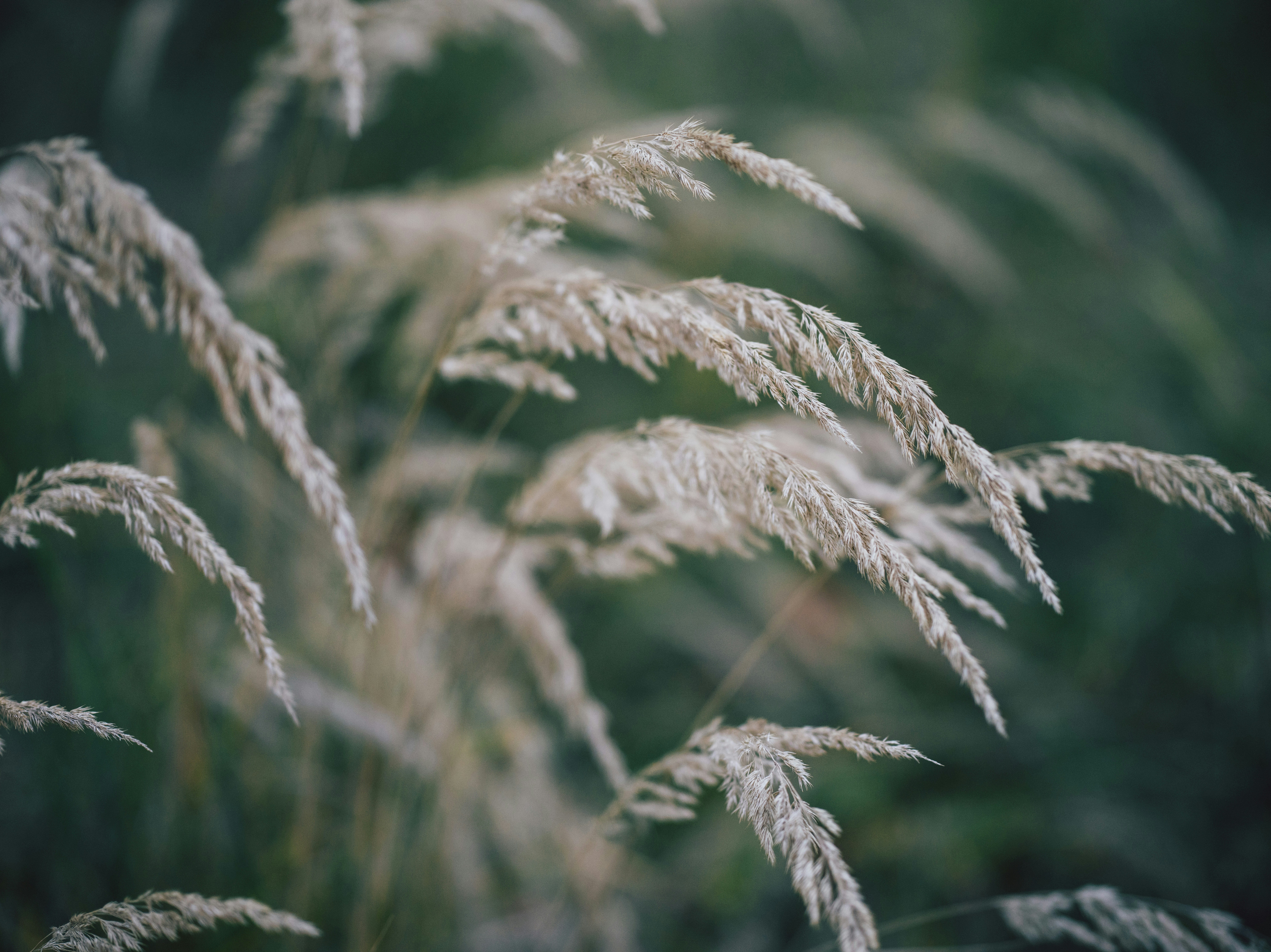 Photo by egorkomarov