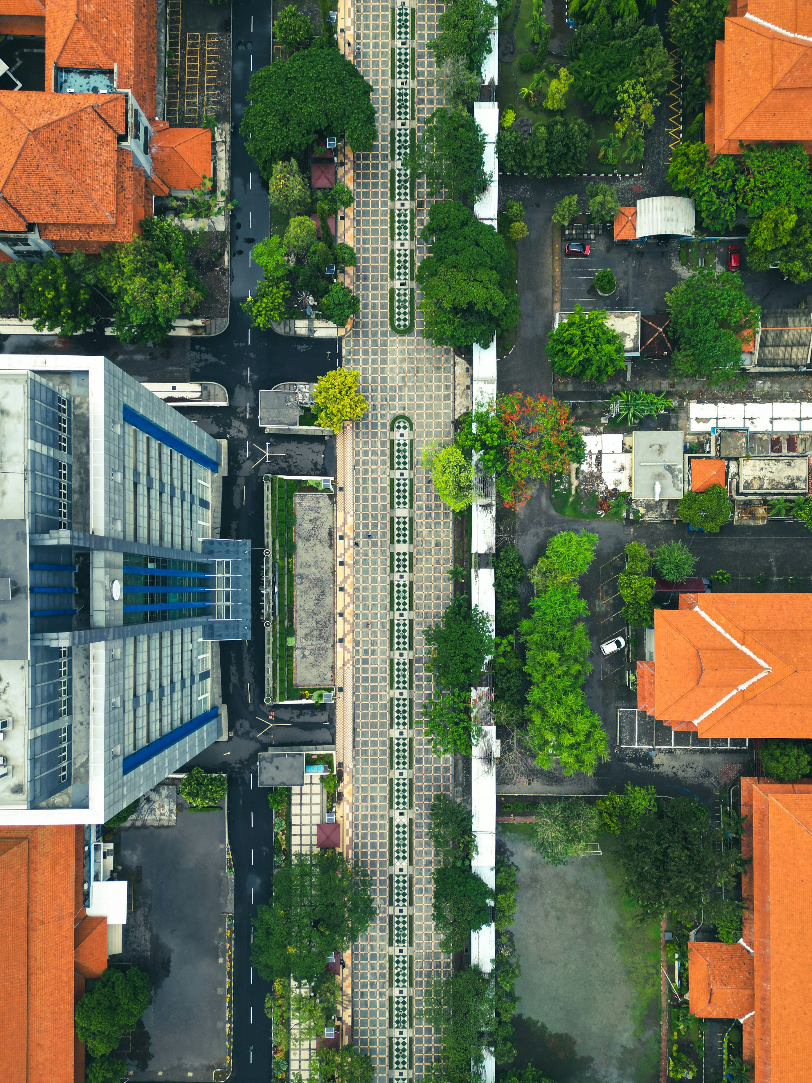 Comparison of Free Zones vs. Mainland Office Options