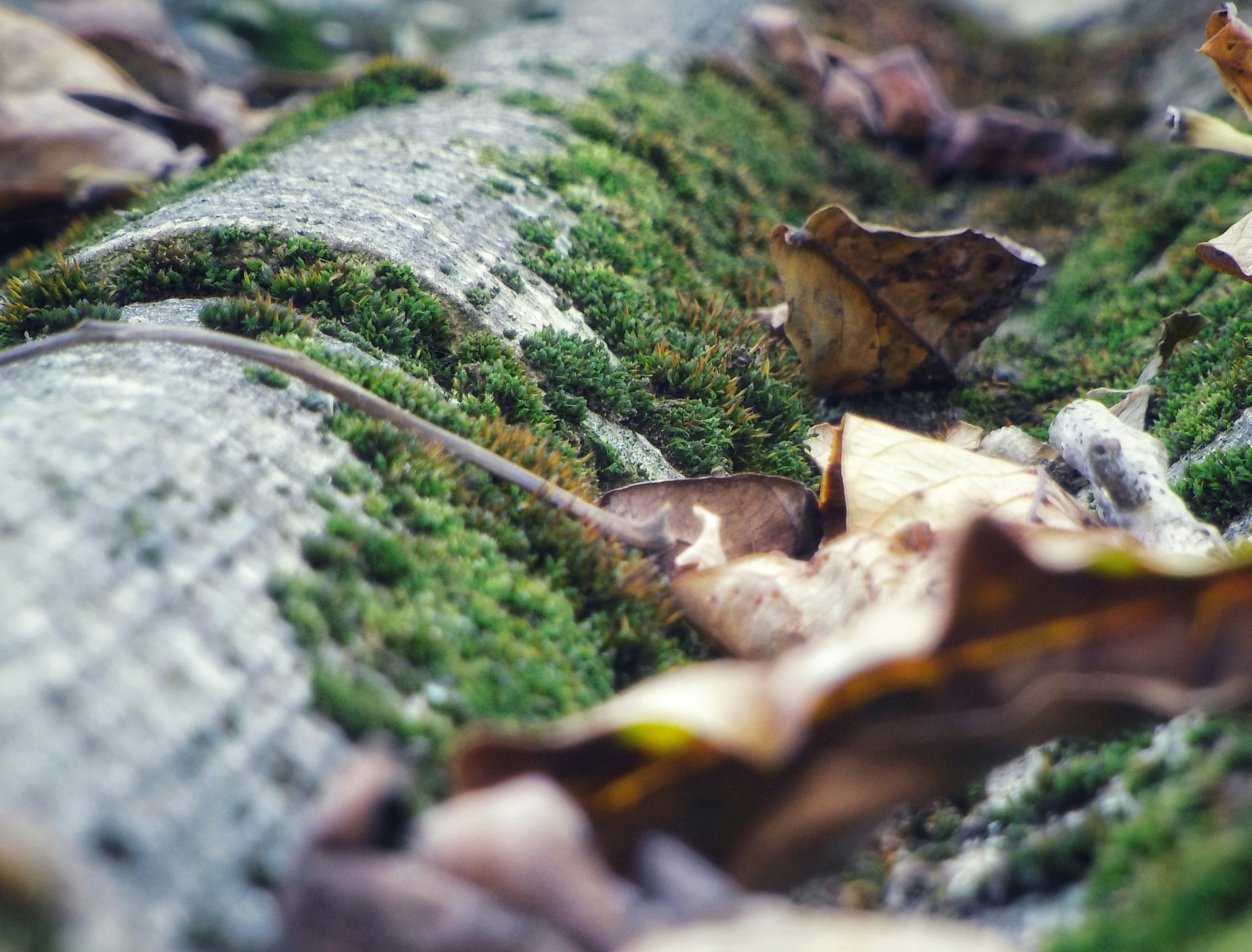 Photo by procameramode