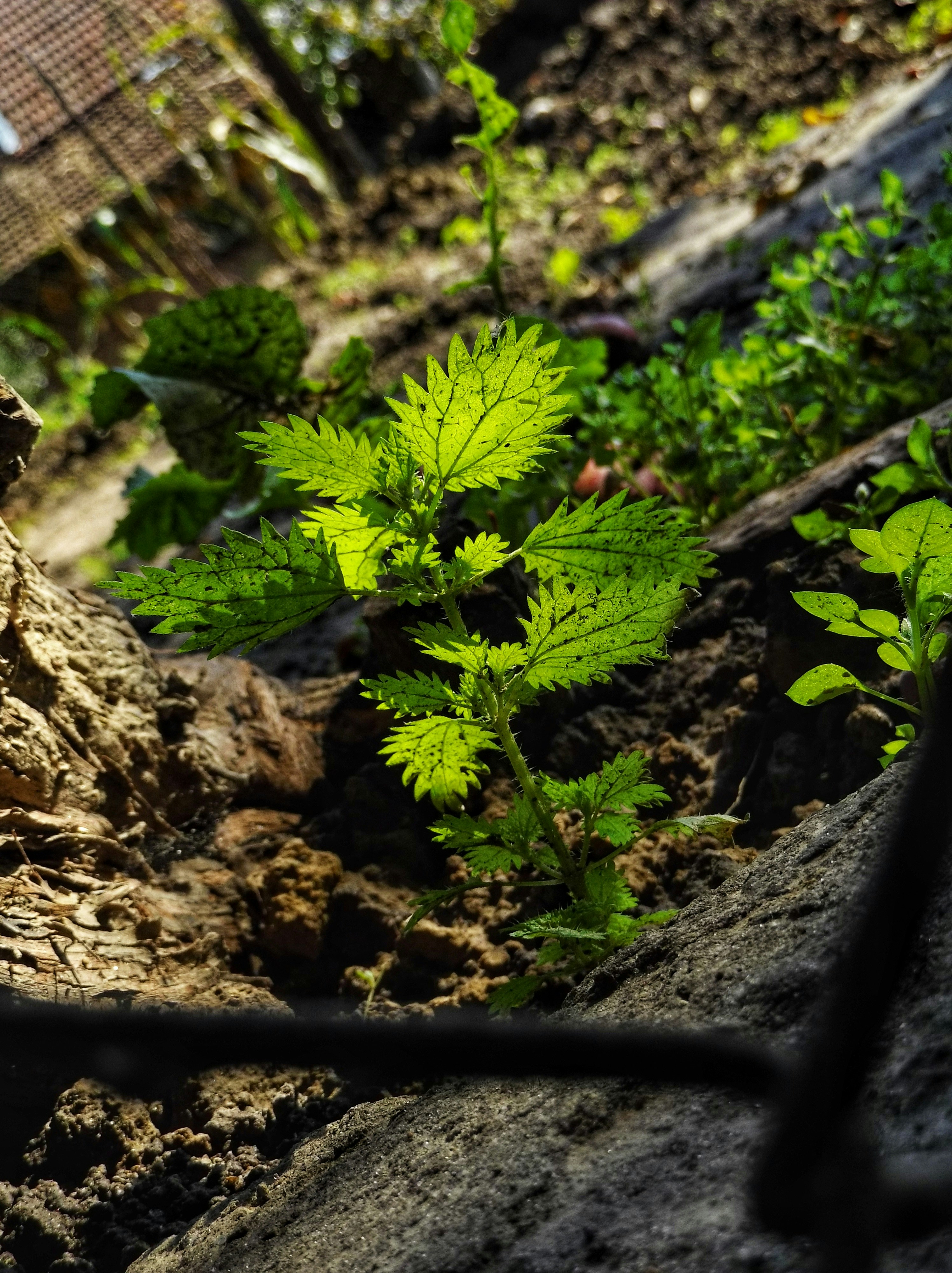 Photo by procameramode