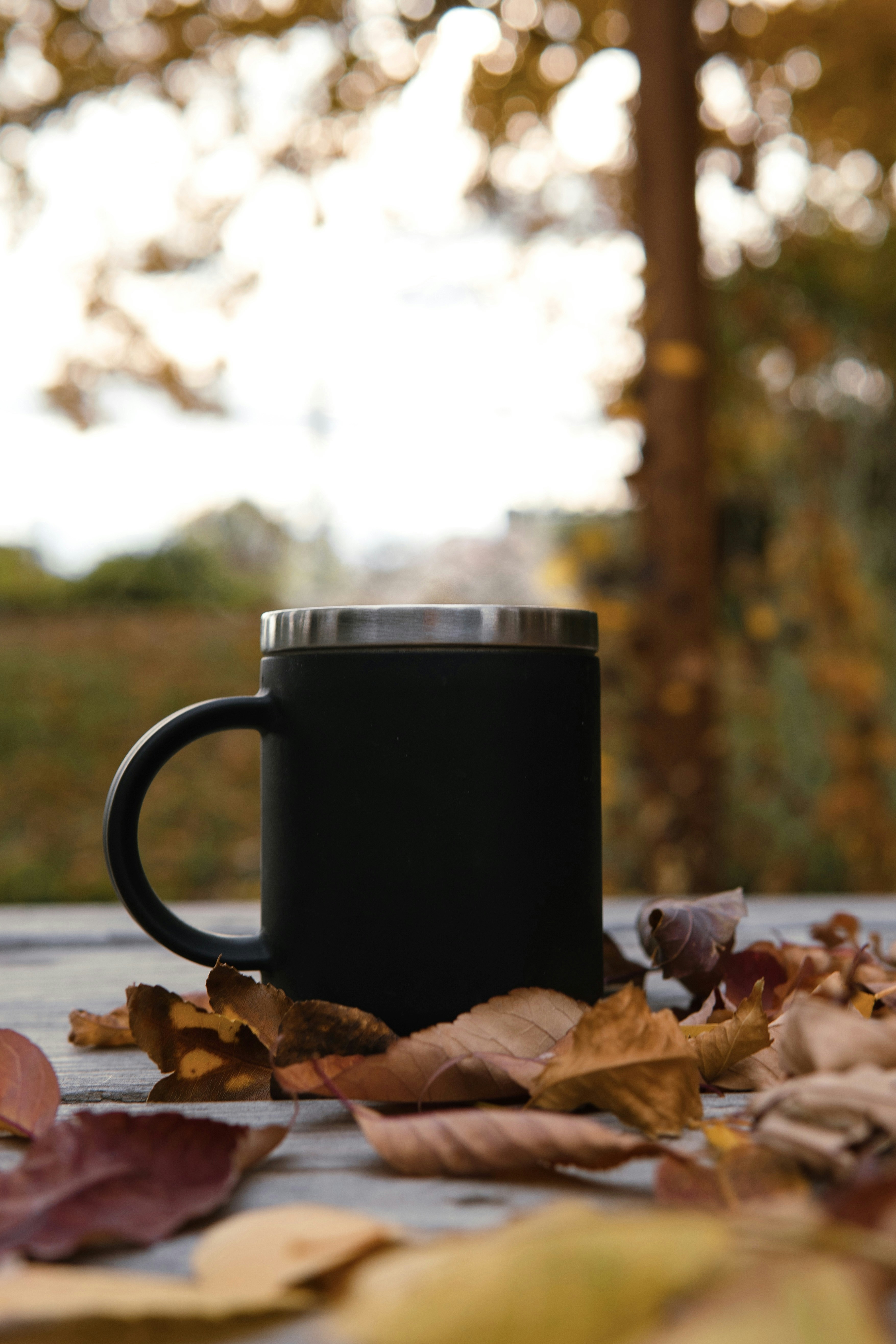 Photo by jaspergribble