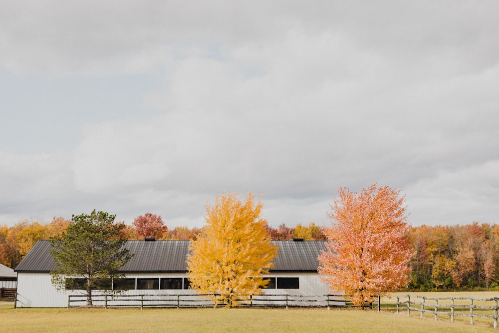 a house with trees in the back