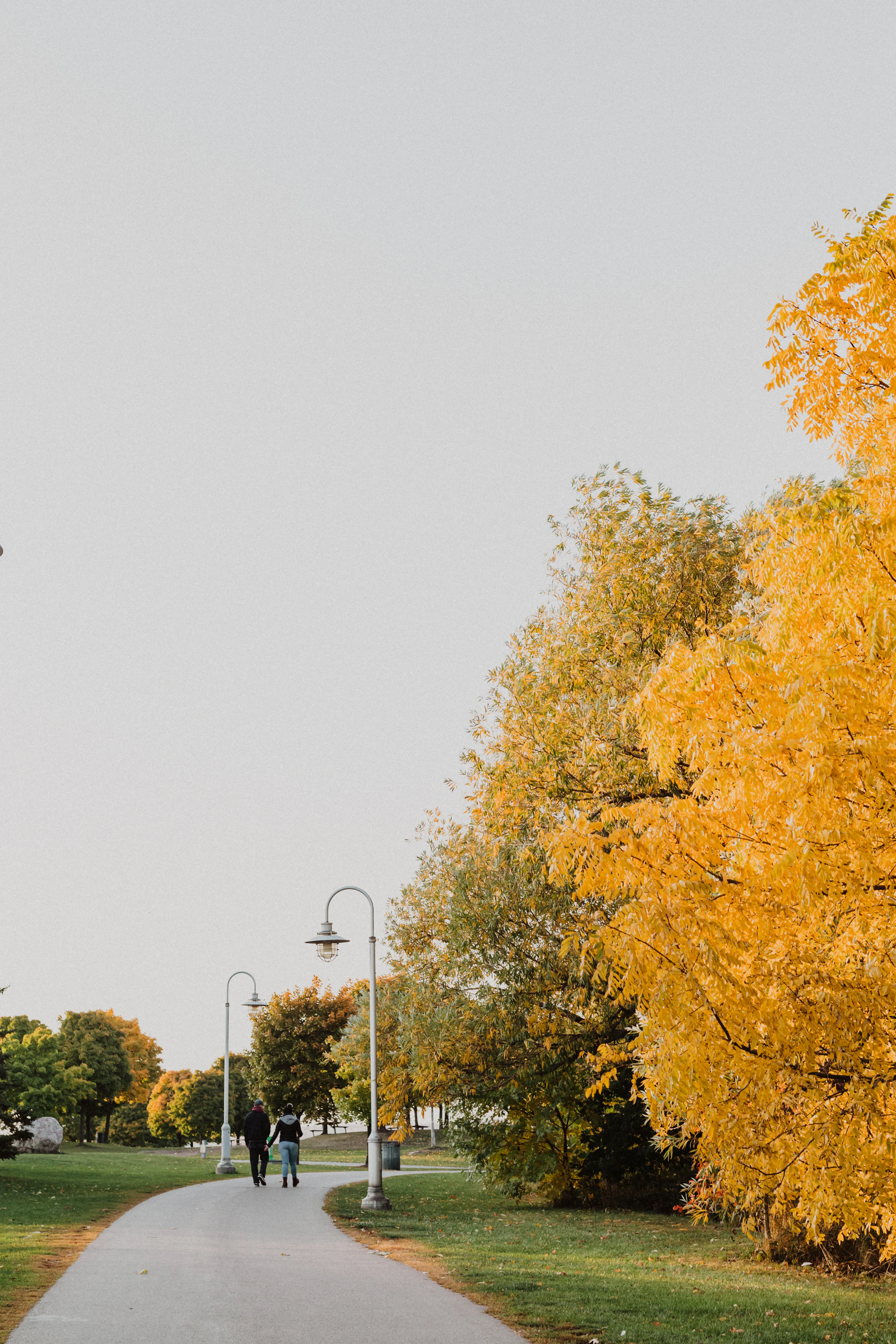 The Ultimate Guide to Enjoying Fall Foliage in Essex County