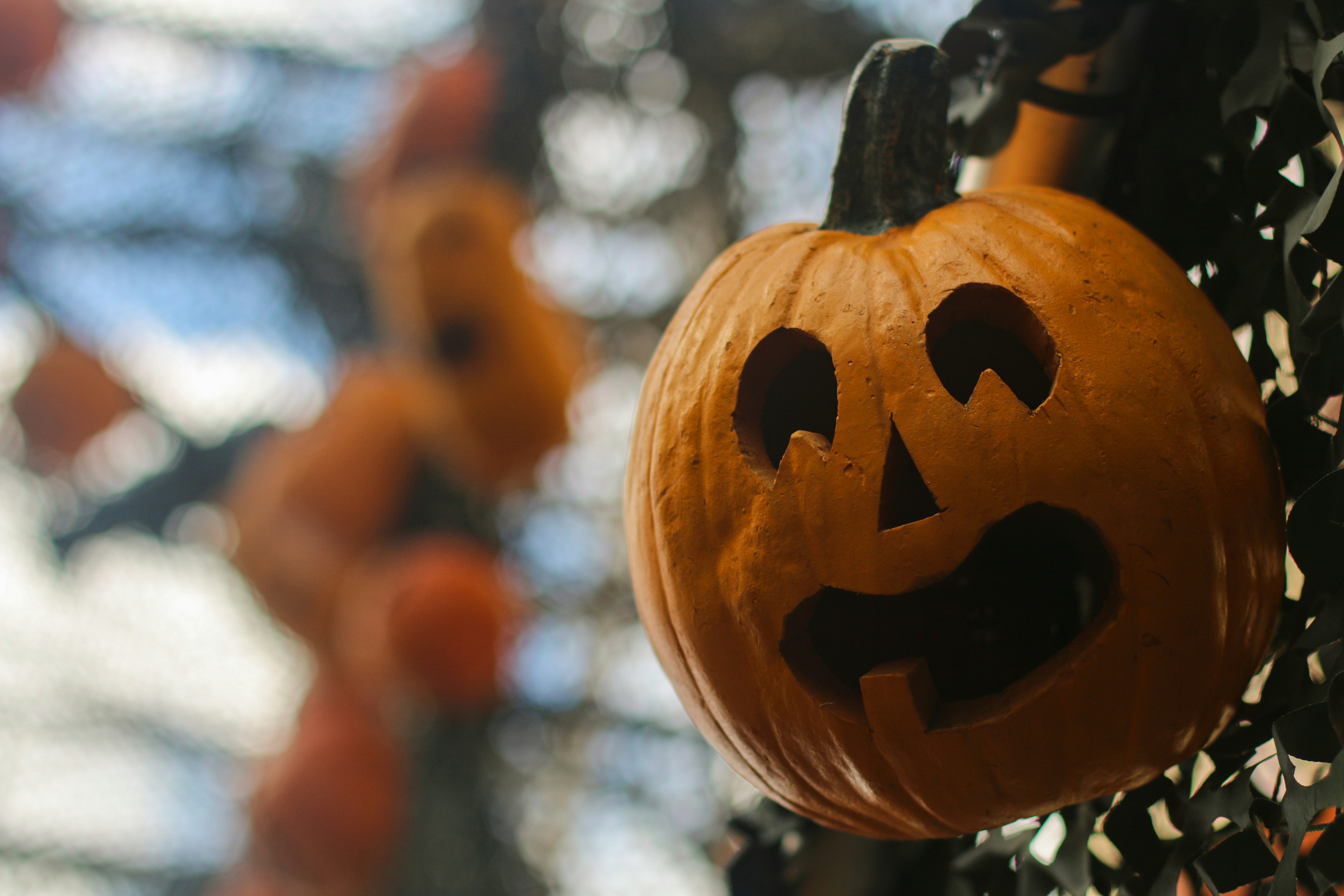 Photo by seasonallyartistic