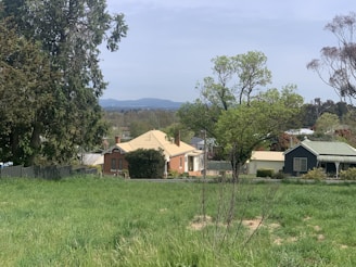 A scenic view of a suburban neighborhood with green parks.