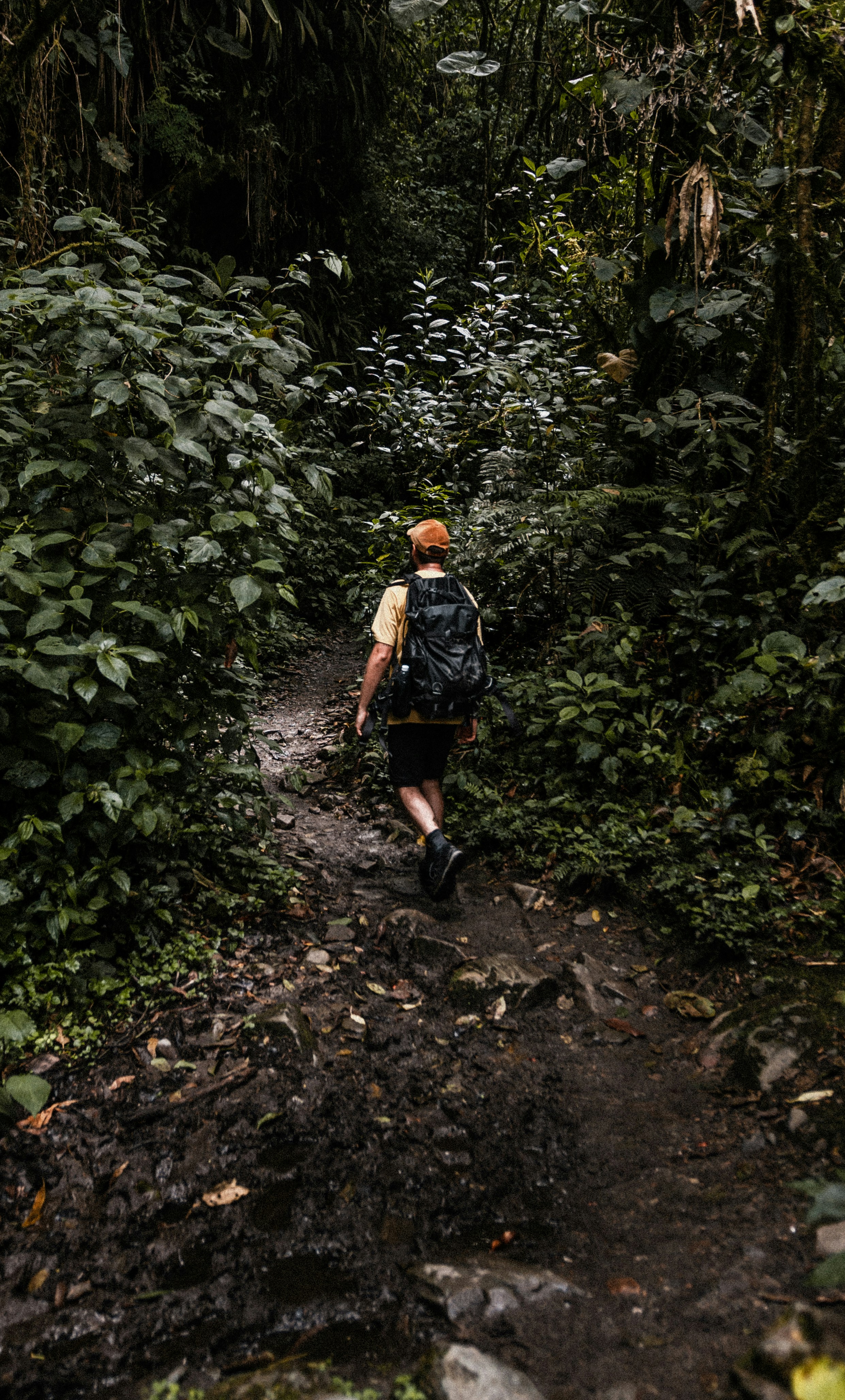 a man walking in the woods