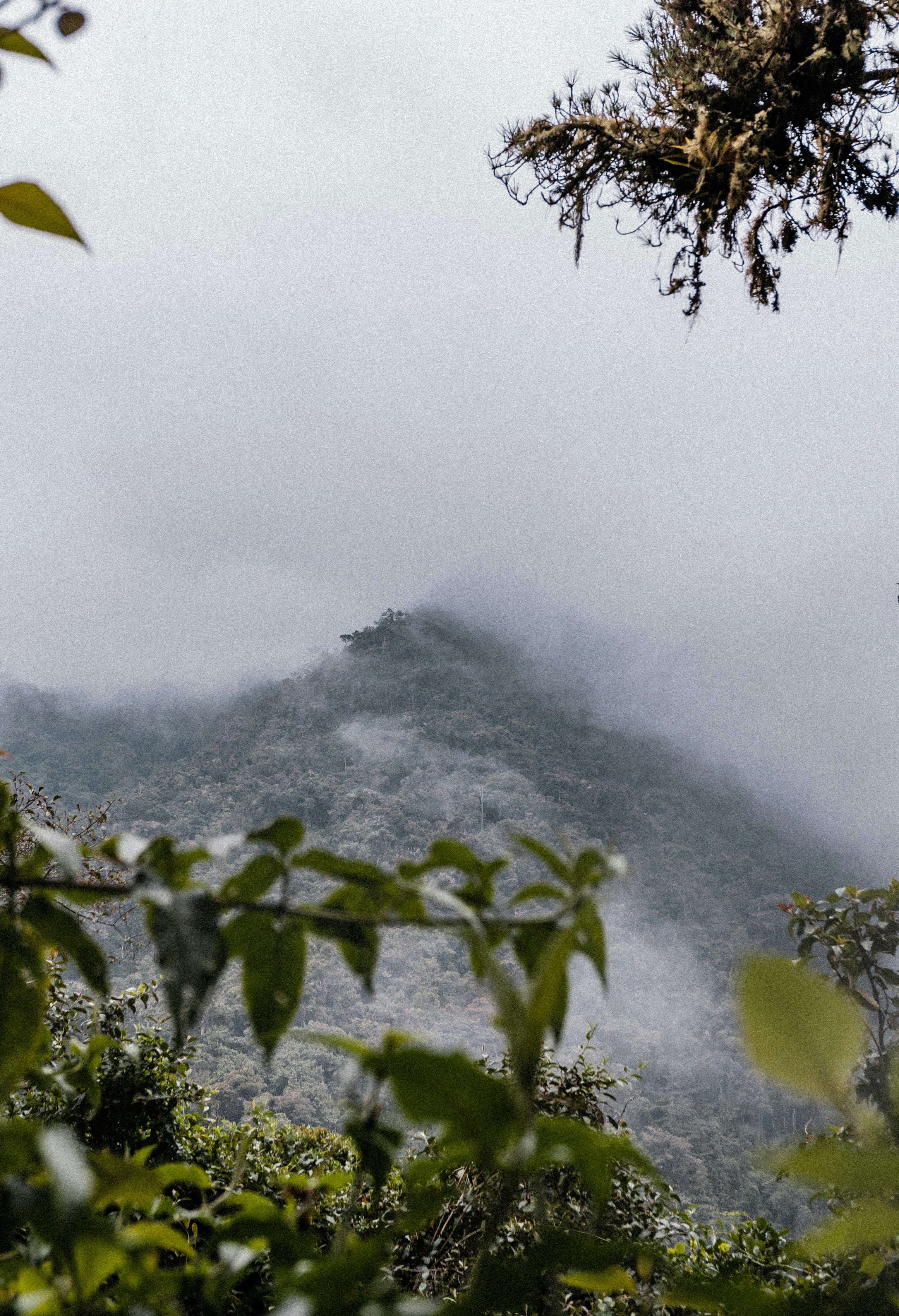 Photo by xandrovandewalle