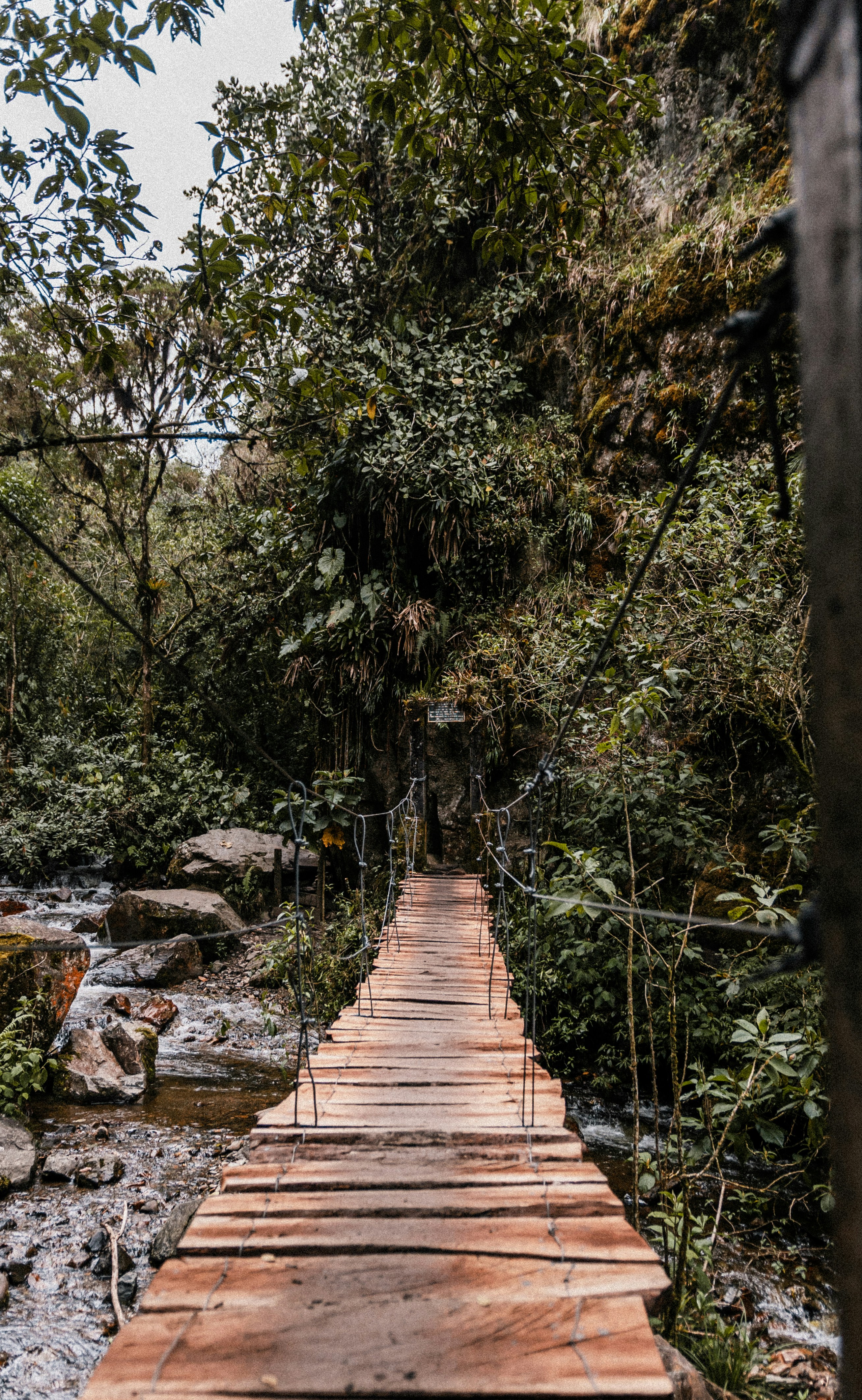 Photo by xandrovandewalle