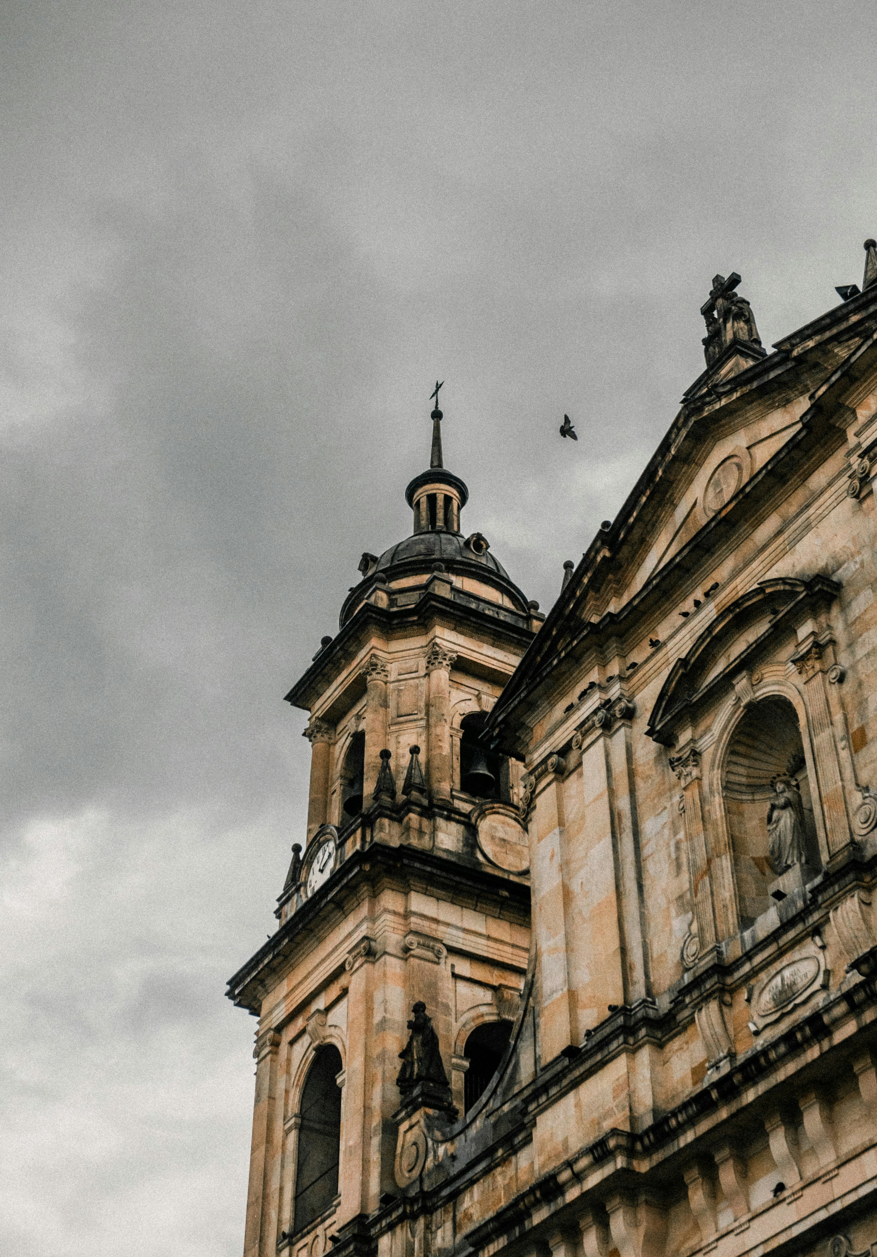 Photo by xandrovandewalle