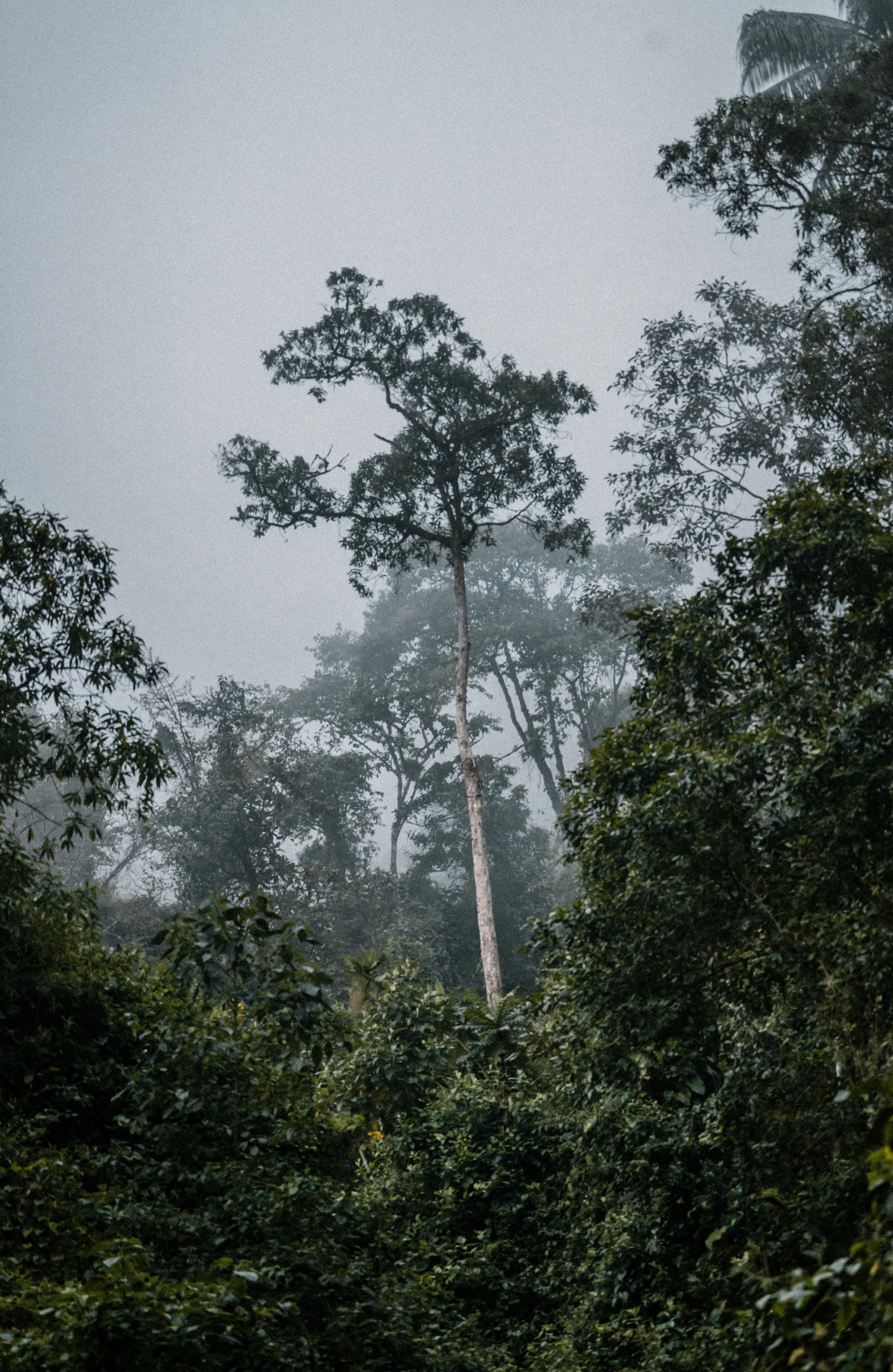 Photo by xandrovandewalle