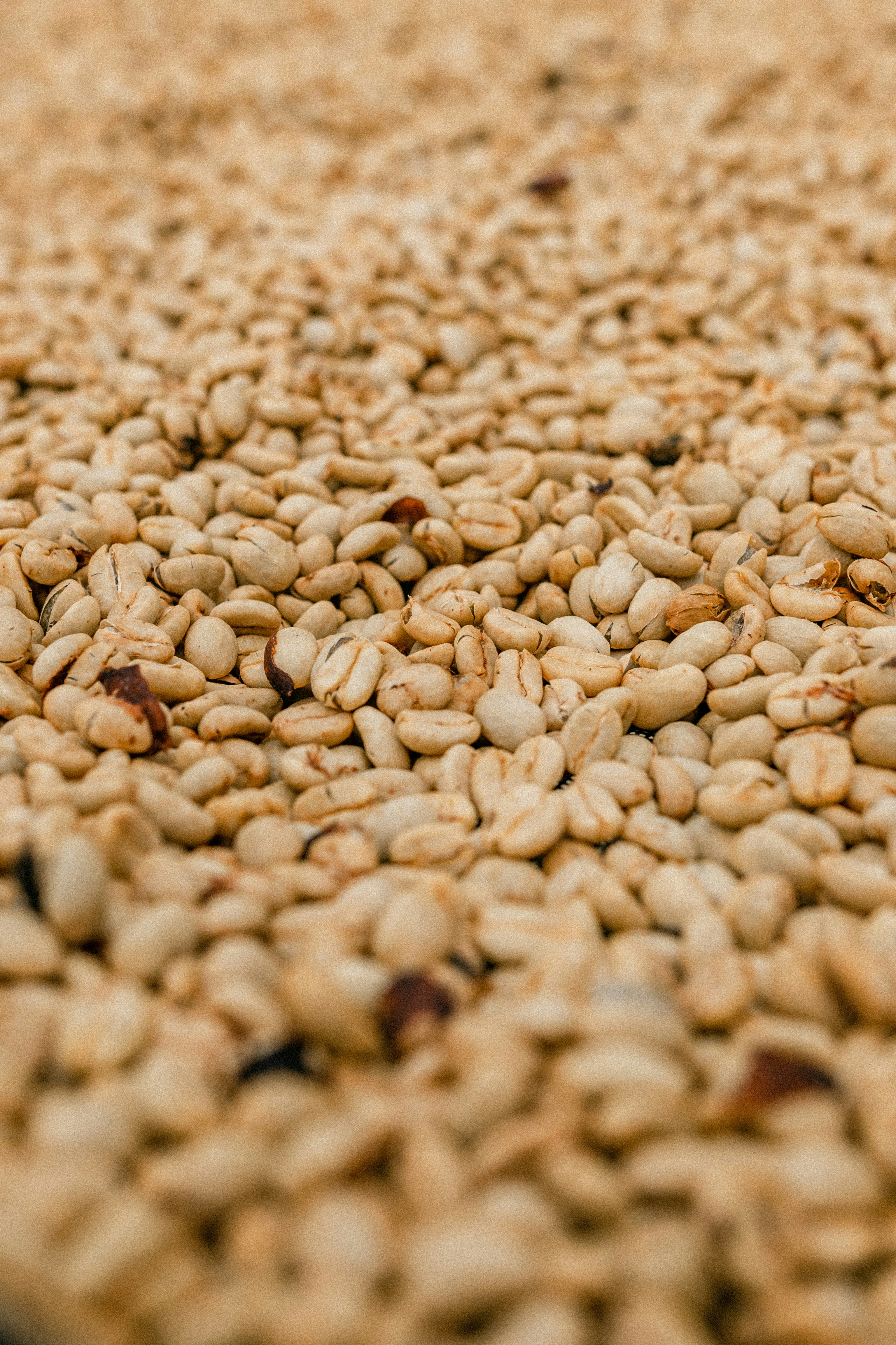 Photo by xandrovandewalle