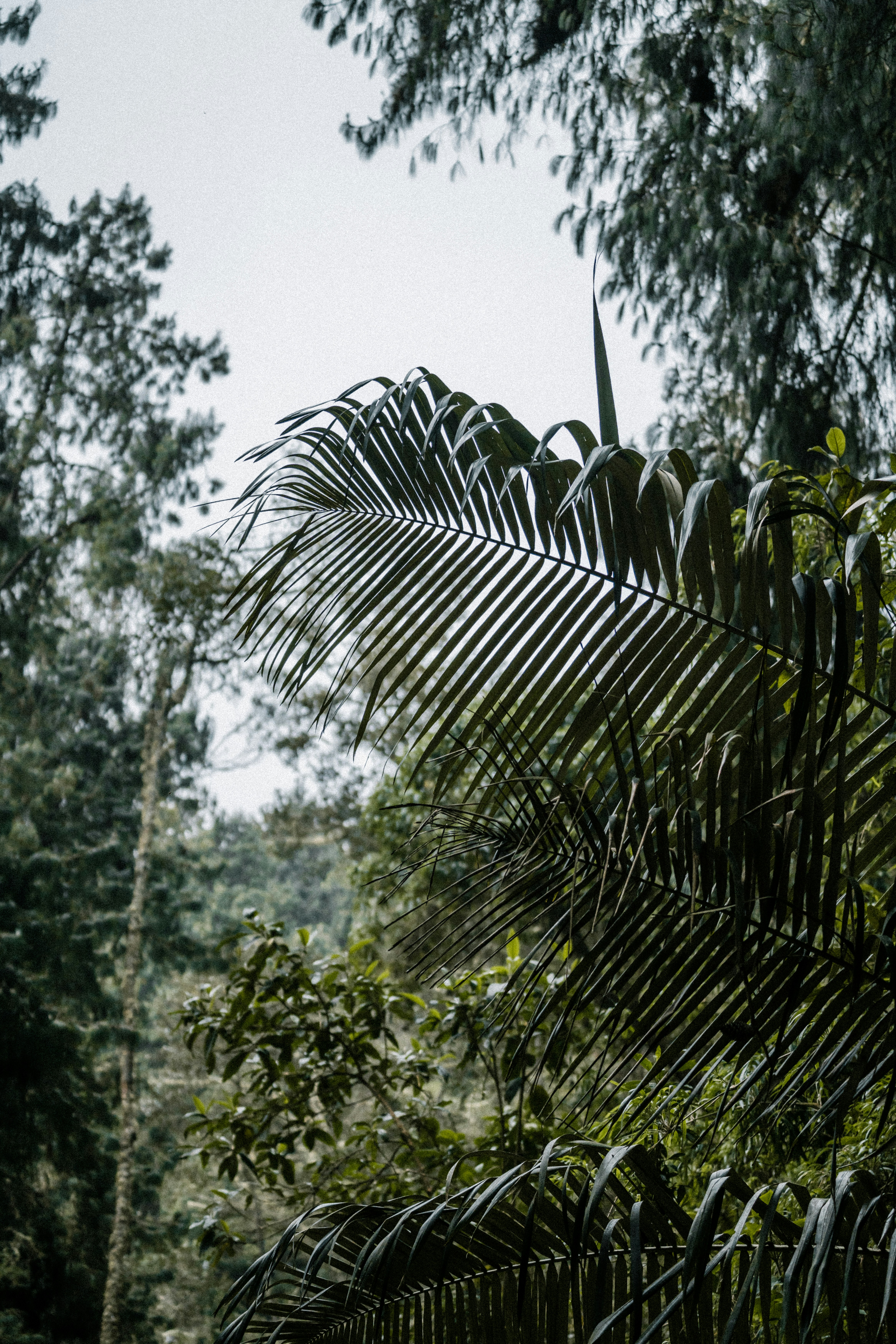 Photo by xandrovandewalle