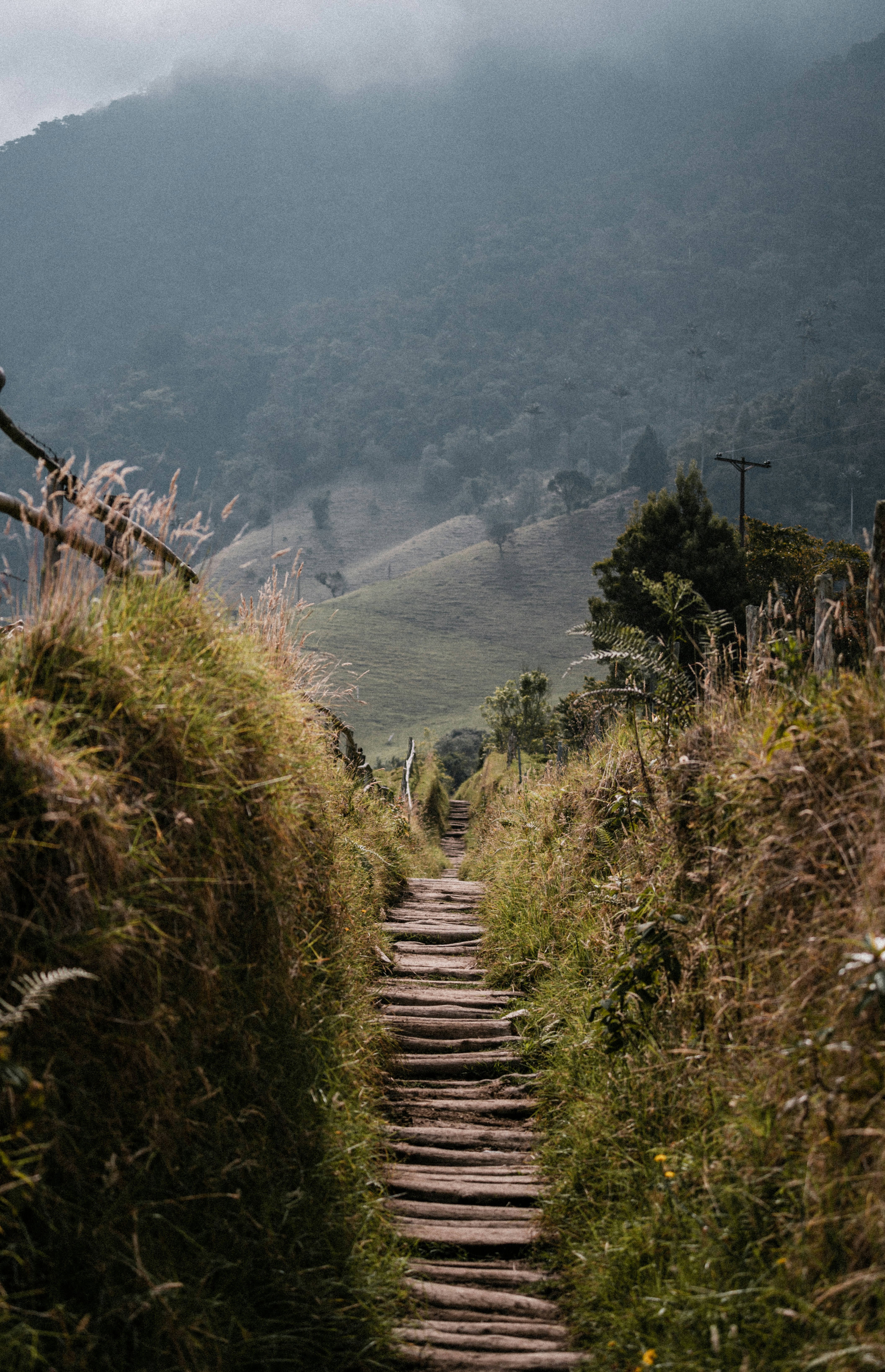 Photo by xandrovandewalle