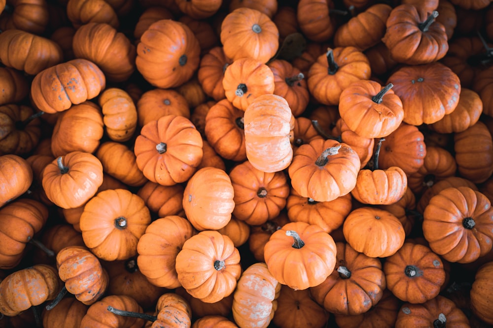 a group of orange pumpkins