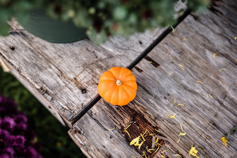 a flower on a wooden bench