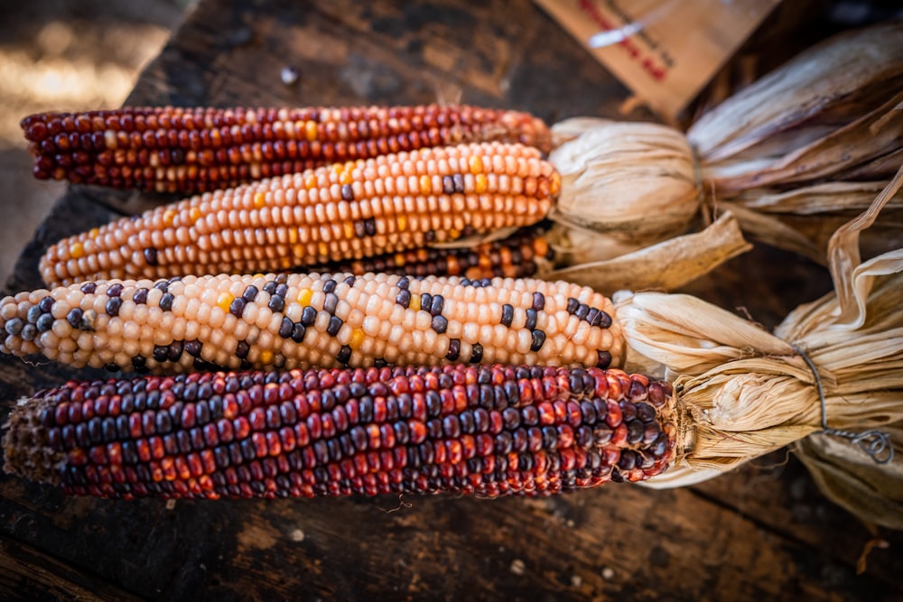 a group of corns