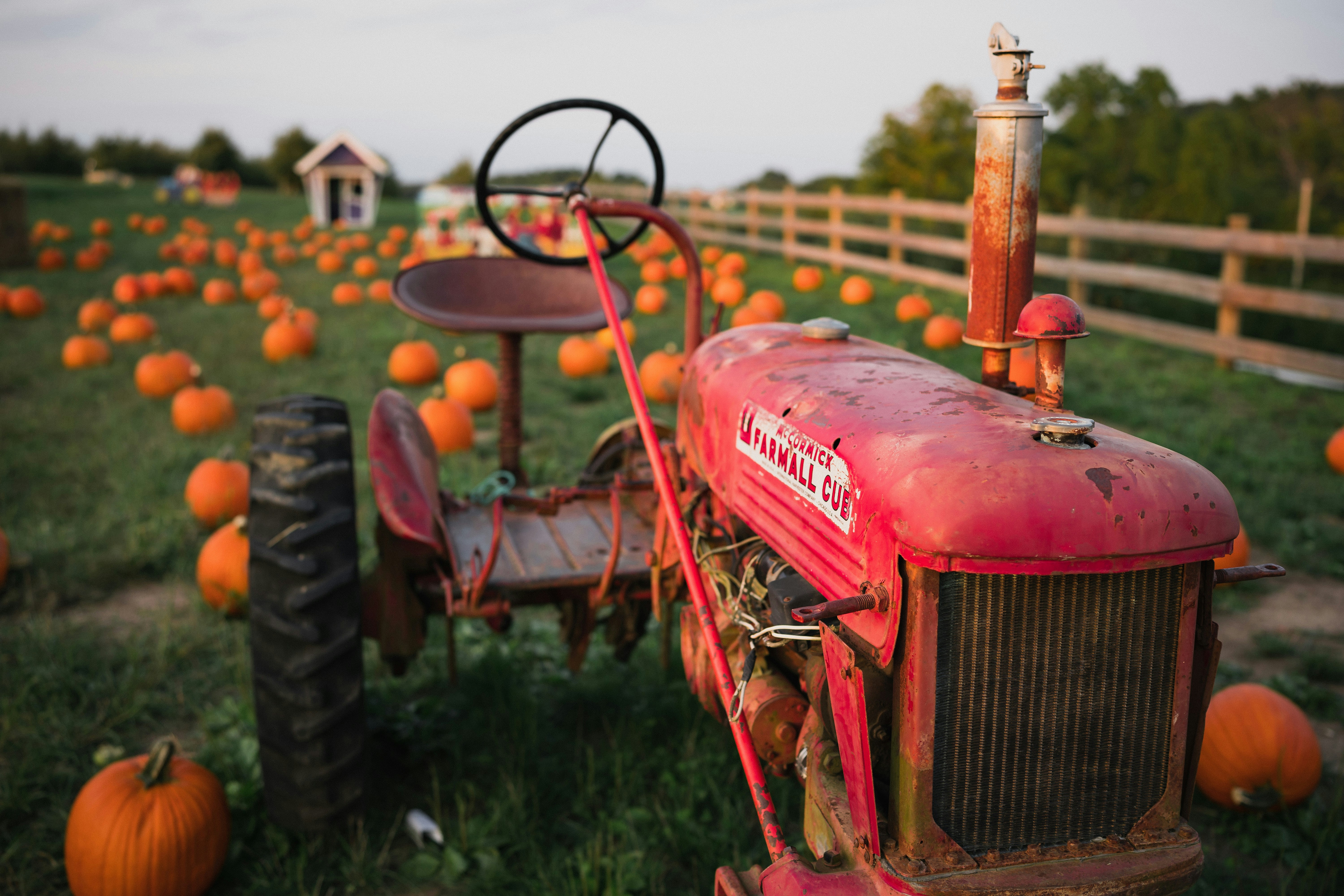 Tractor in a pumpkin patch
