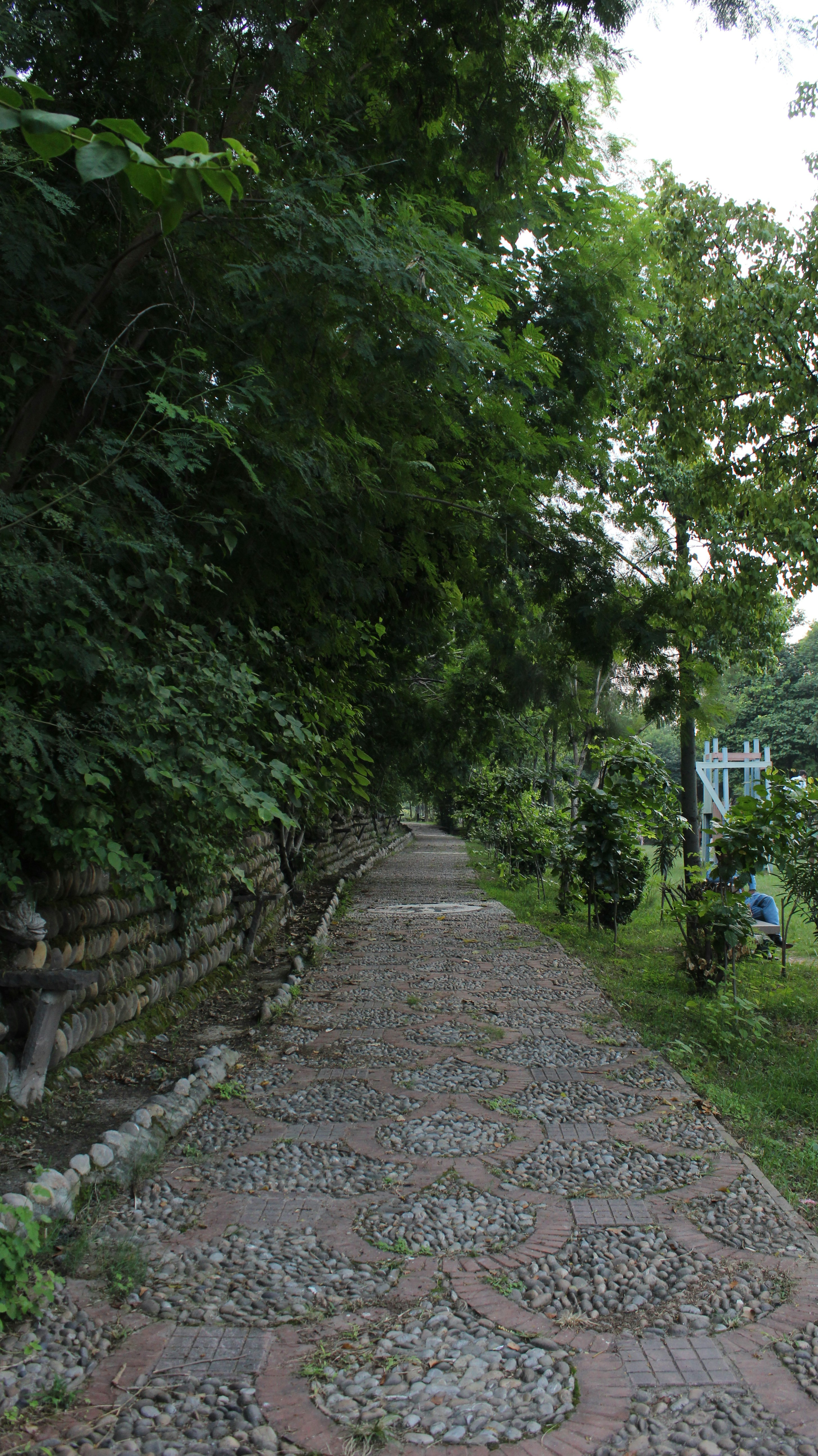 a stone path with trees on either side of it