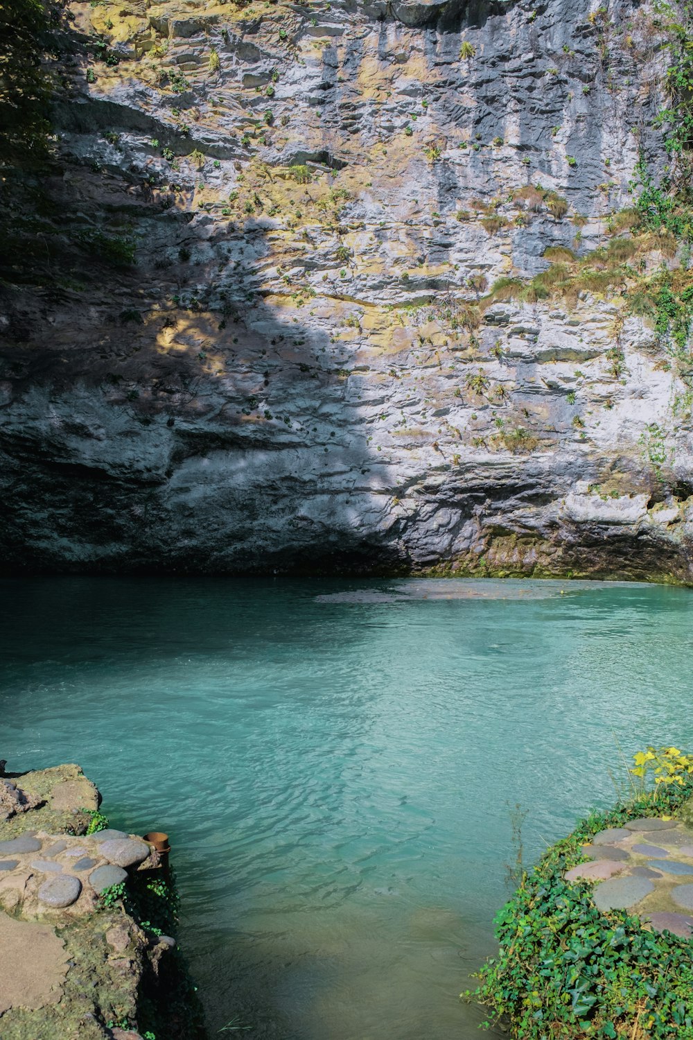 a body of water with a rocky cliff and plants