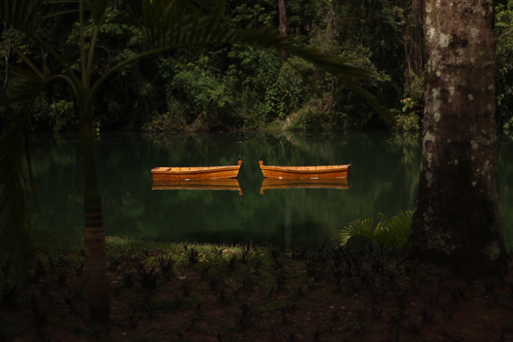 canoes in a lake