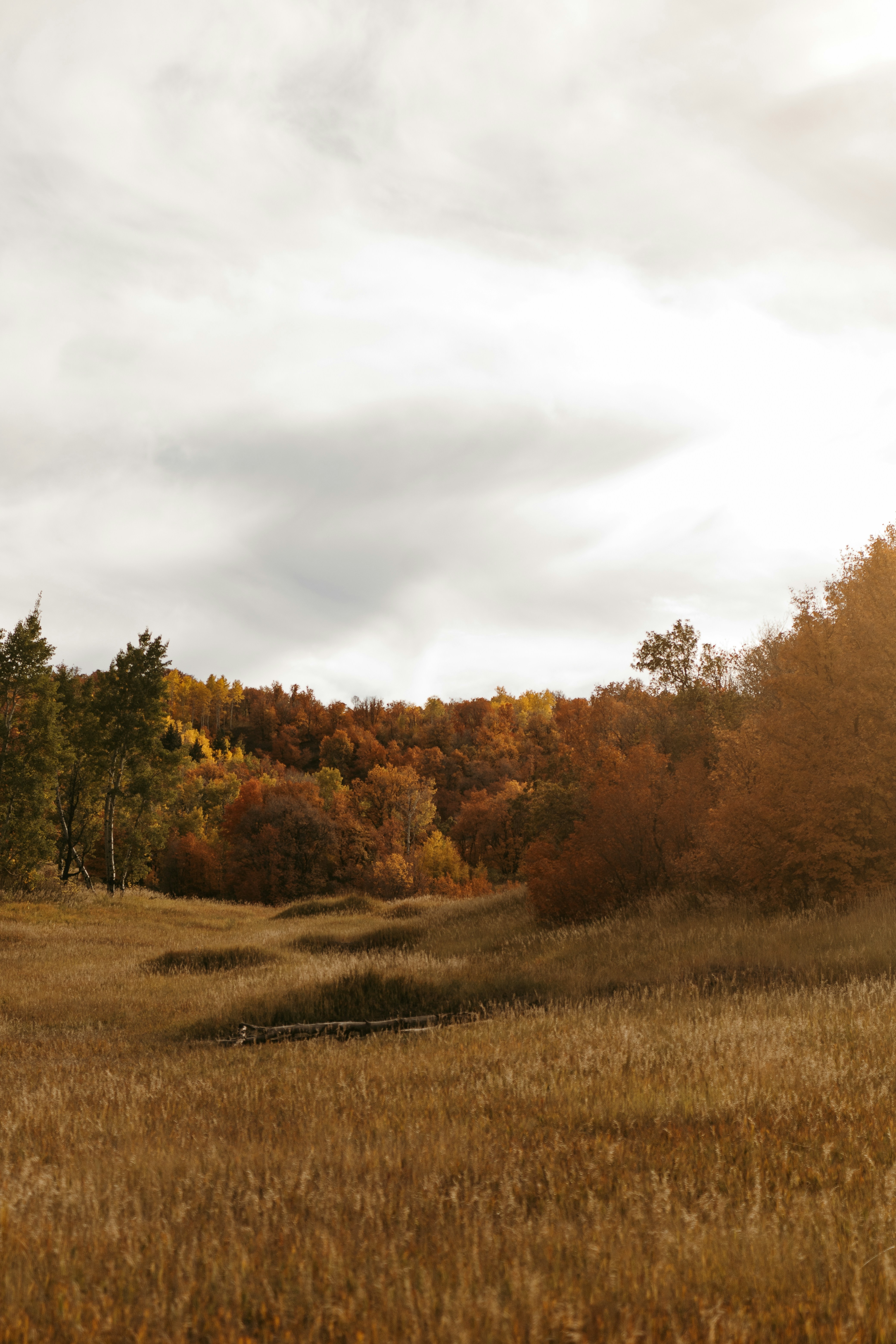 Photo by paupattersonphotography_