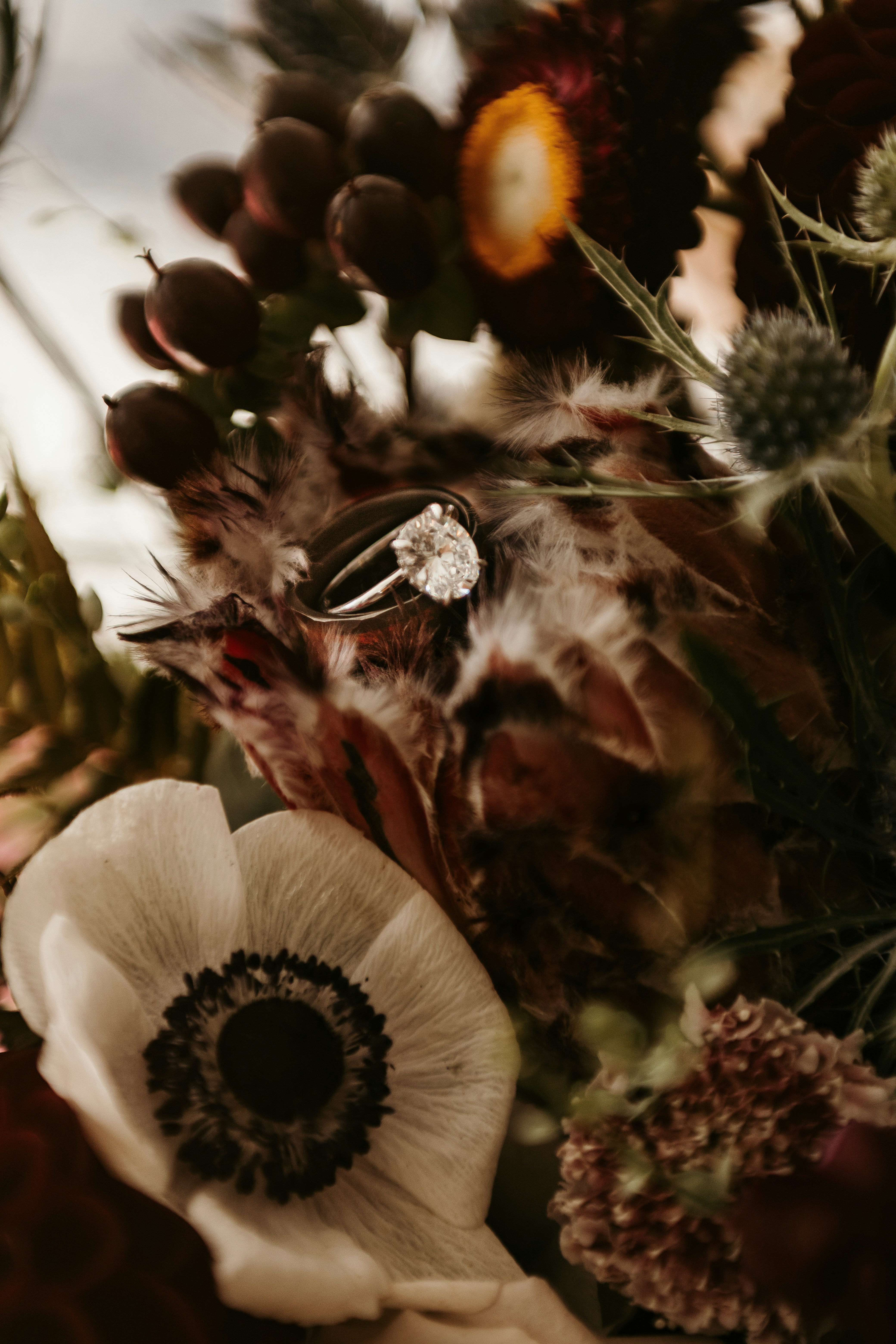 Photo by paupattersonphotography_