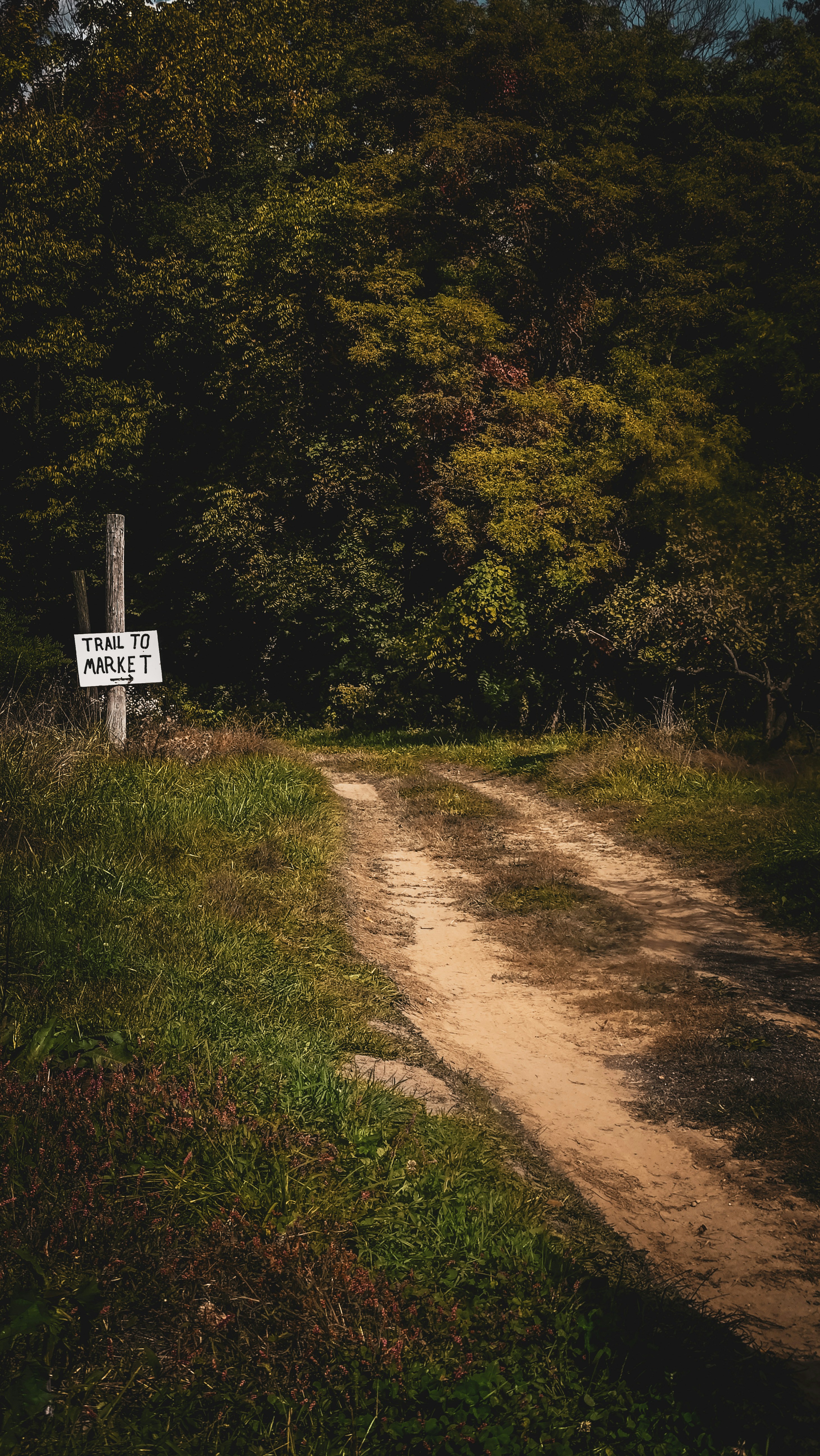 Photo by lesliebeasley