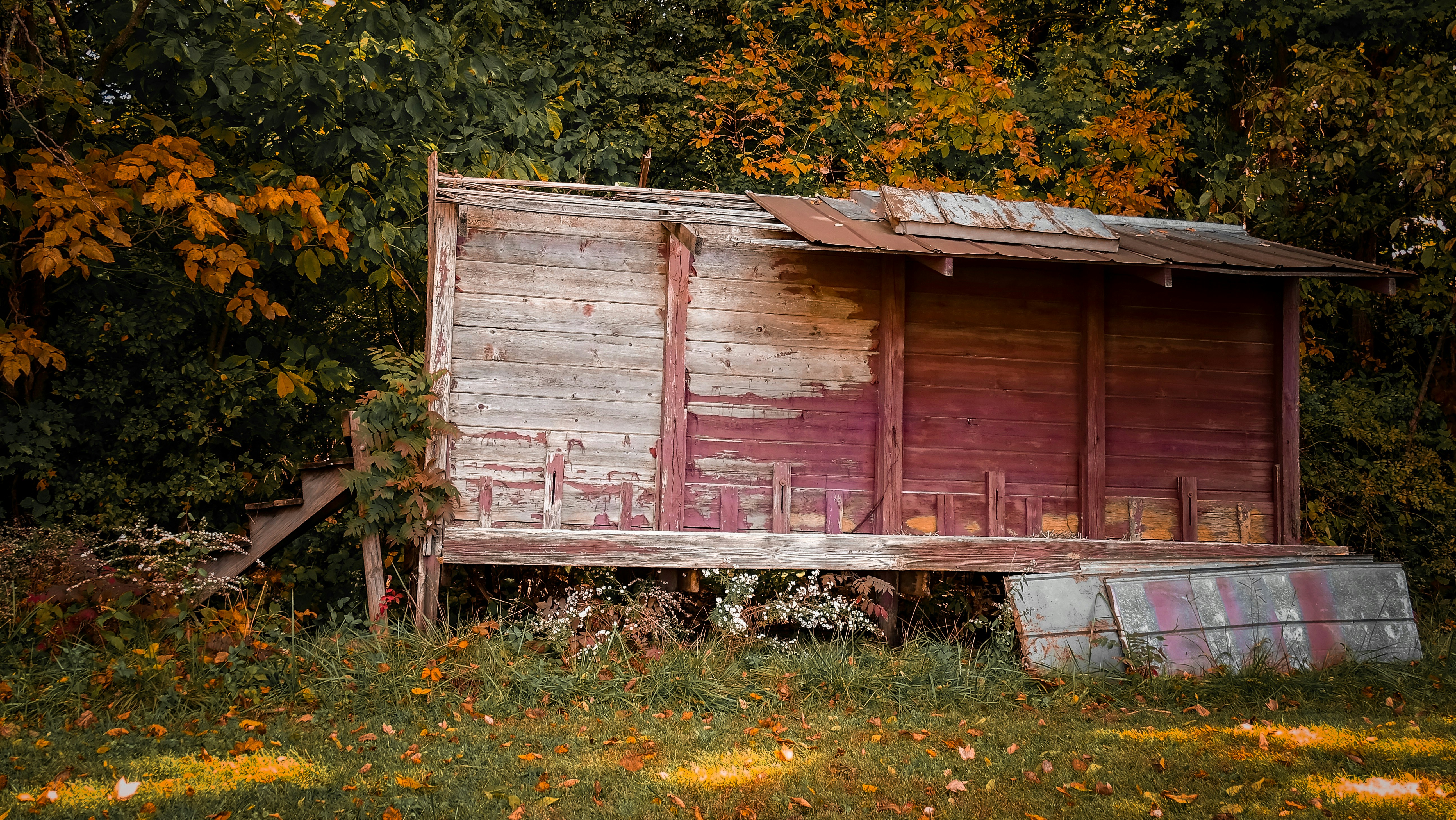 Photo by lesliebeasley