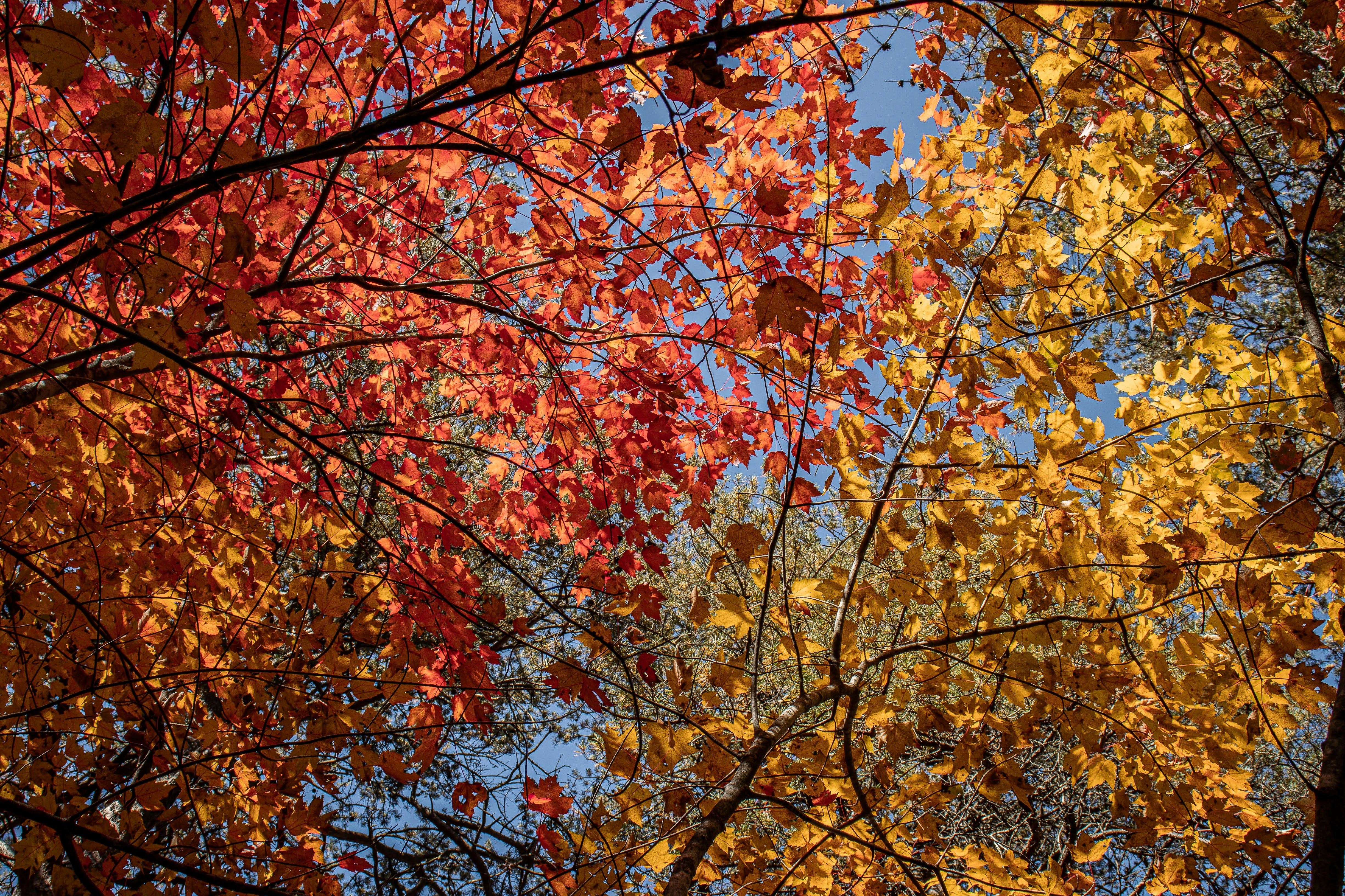 Photo by brice_cooper18