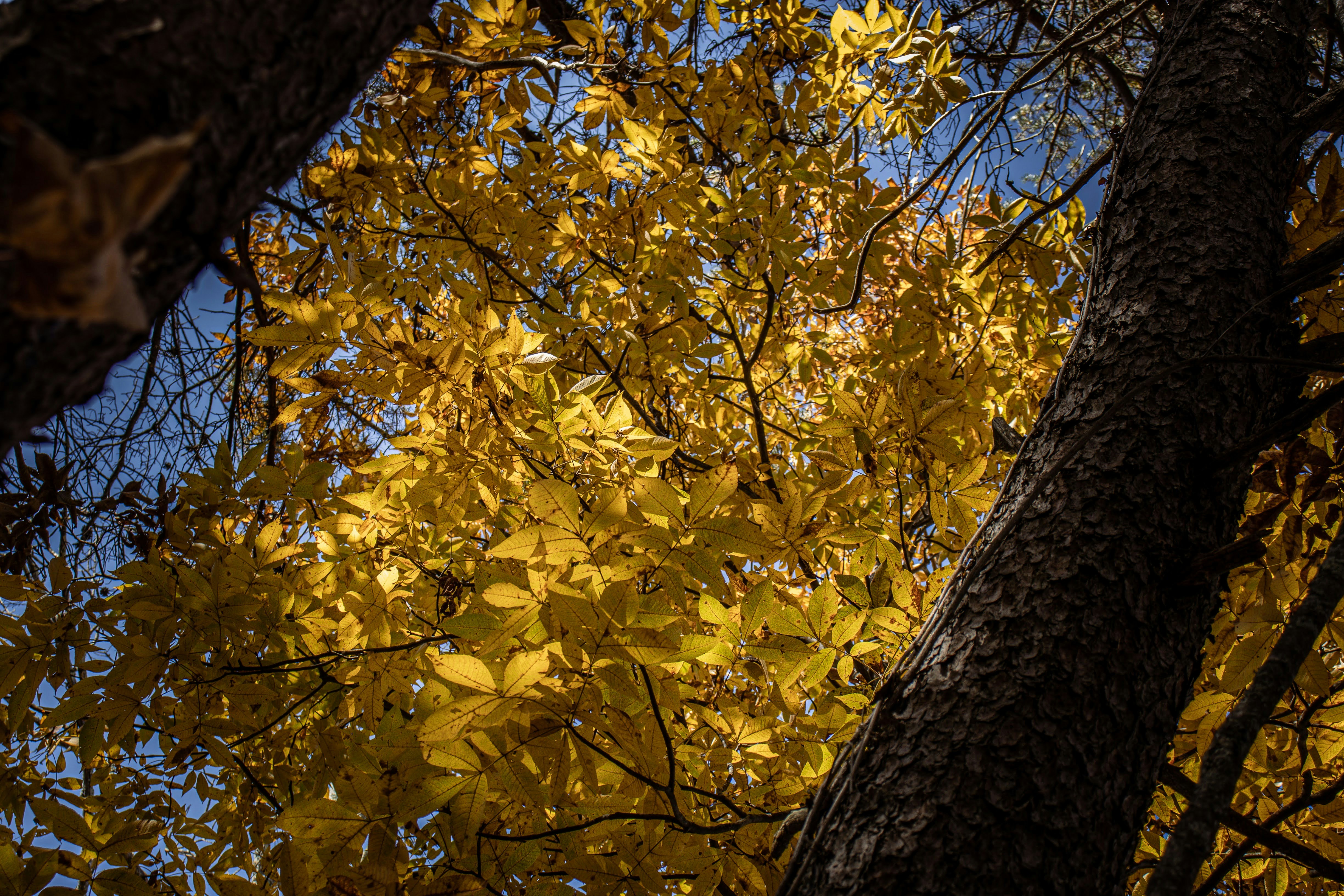 Photo by brice_cooper18