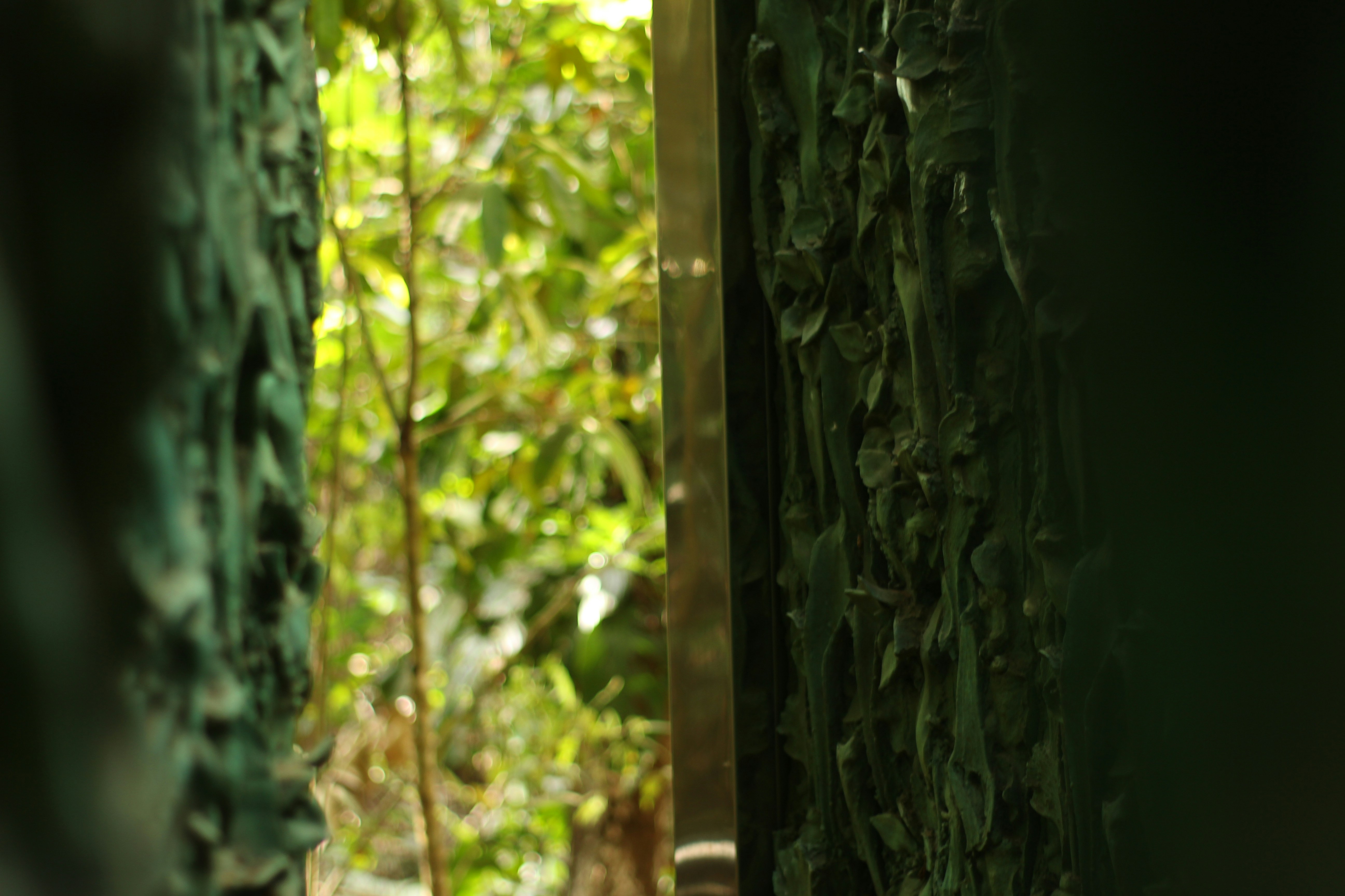 Photo by otaciliomaia