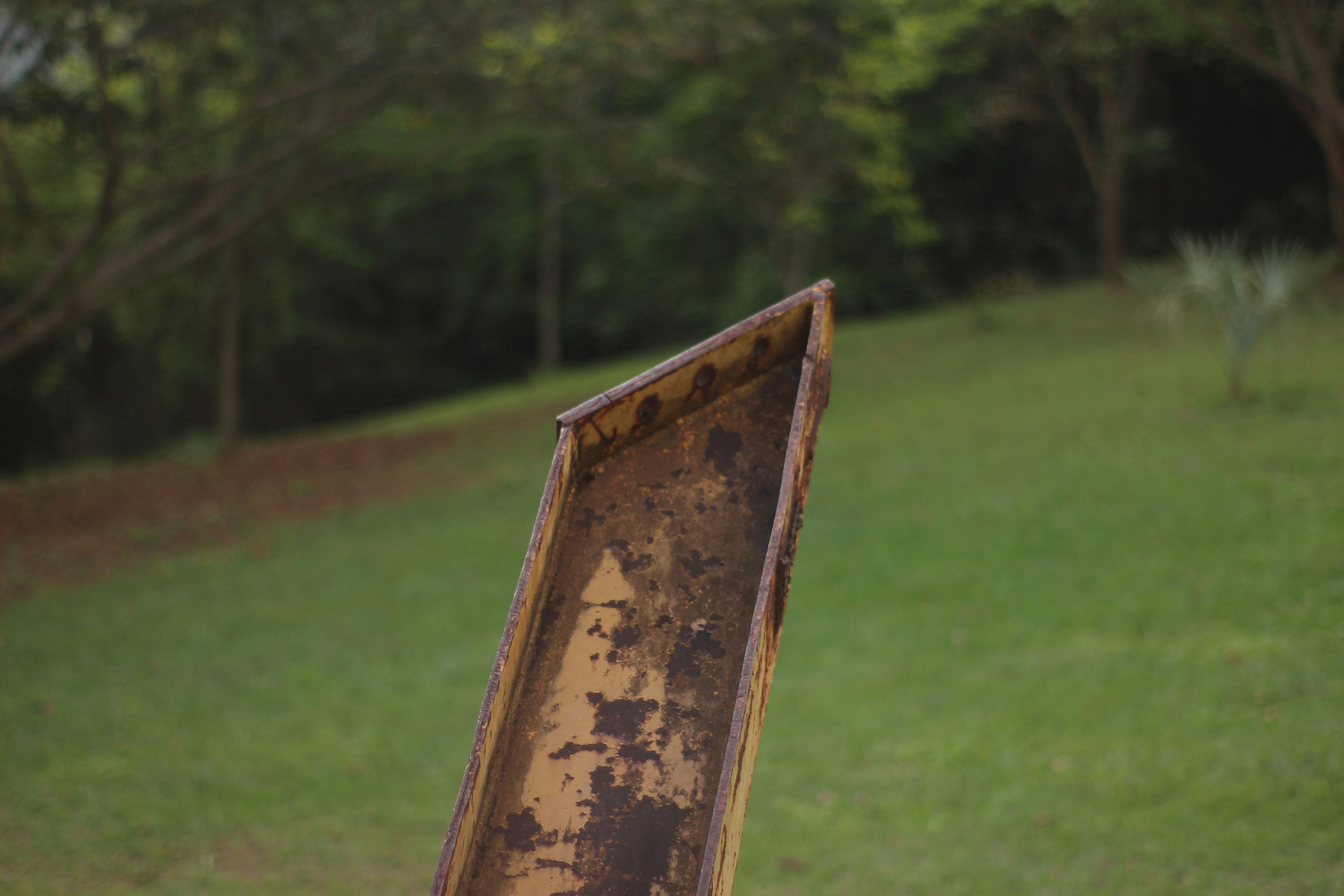 Pet Tribute Encased Serving Board