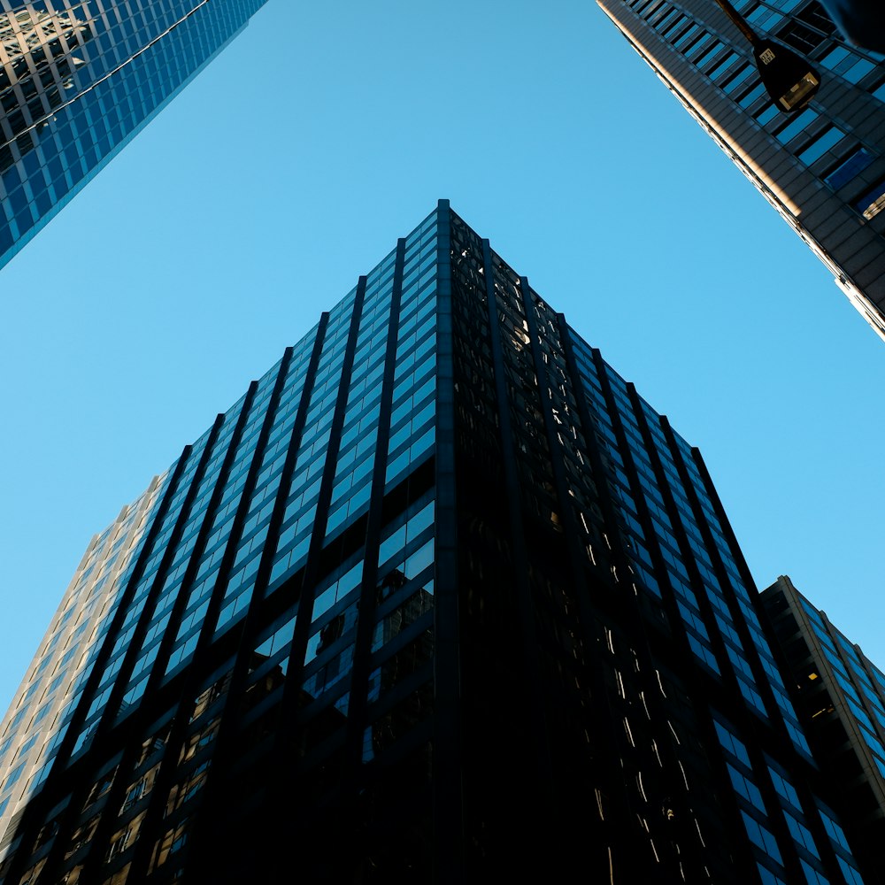 olhando para cima em edifícios altos