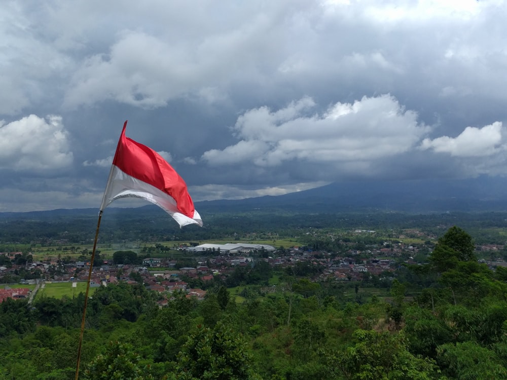 a flag on a pole