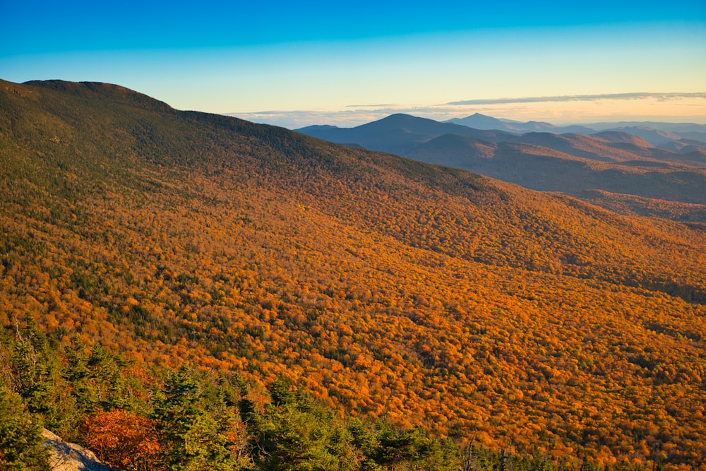 a landscape with trees and hills